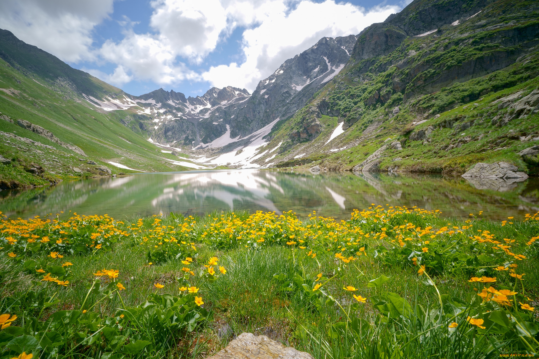 природа, луга, простор