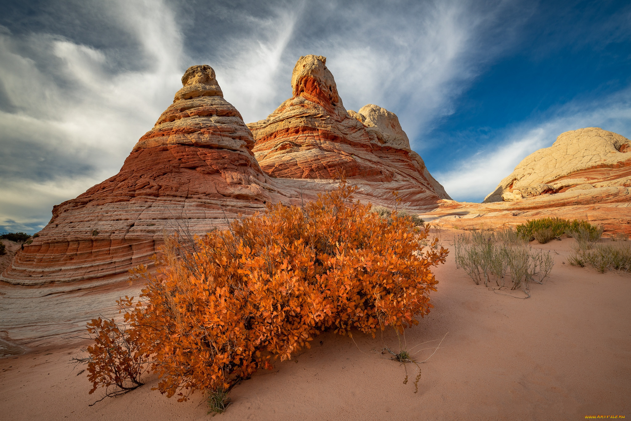 природа, пустыни, простор