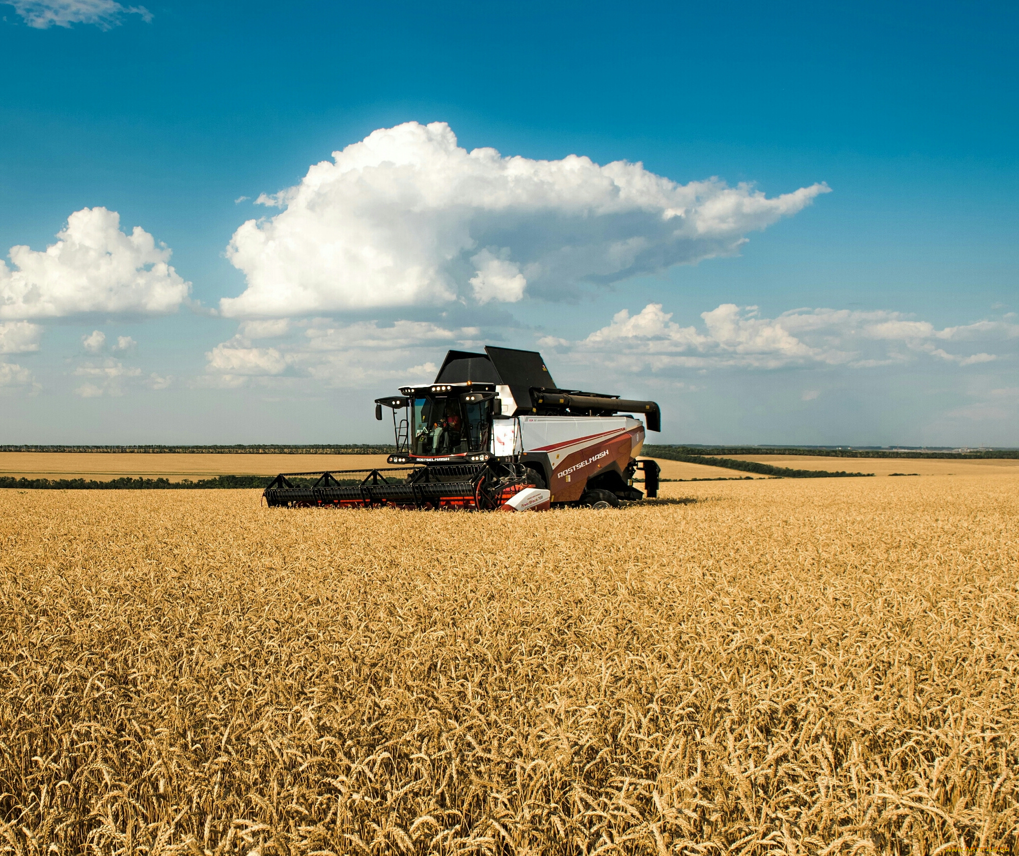 техника, комбайны, пшеница, поле, сельхозтехника, ростсельмаш