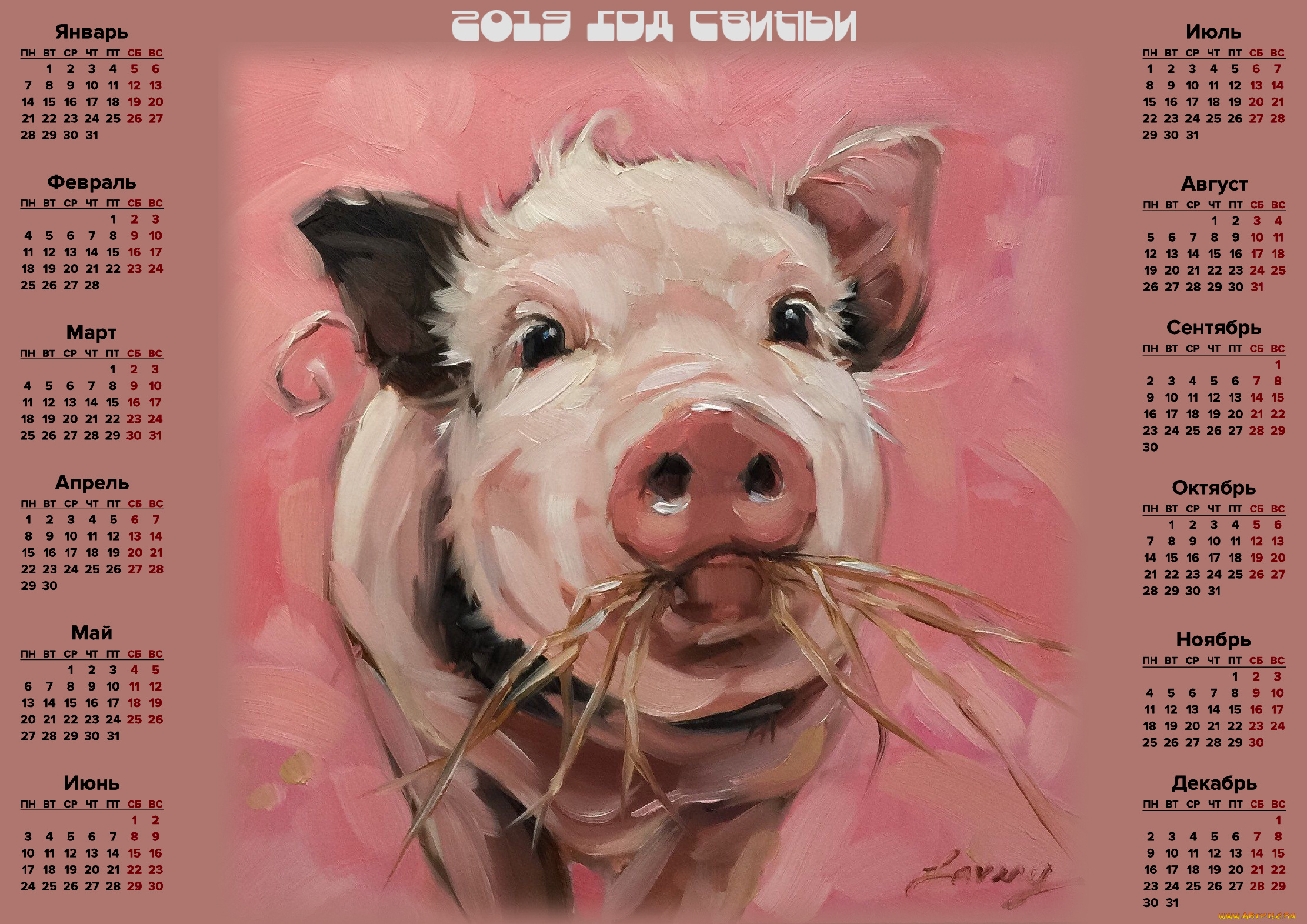 календари, праздники, , салюты, свинья, поросенок