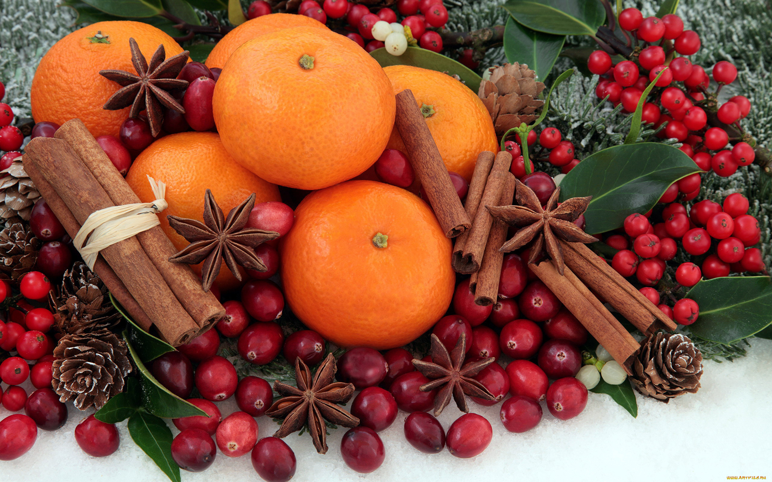 еда, разное, корица, анис, мандарины, клюква