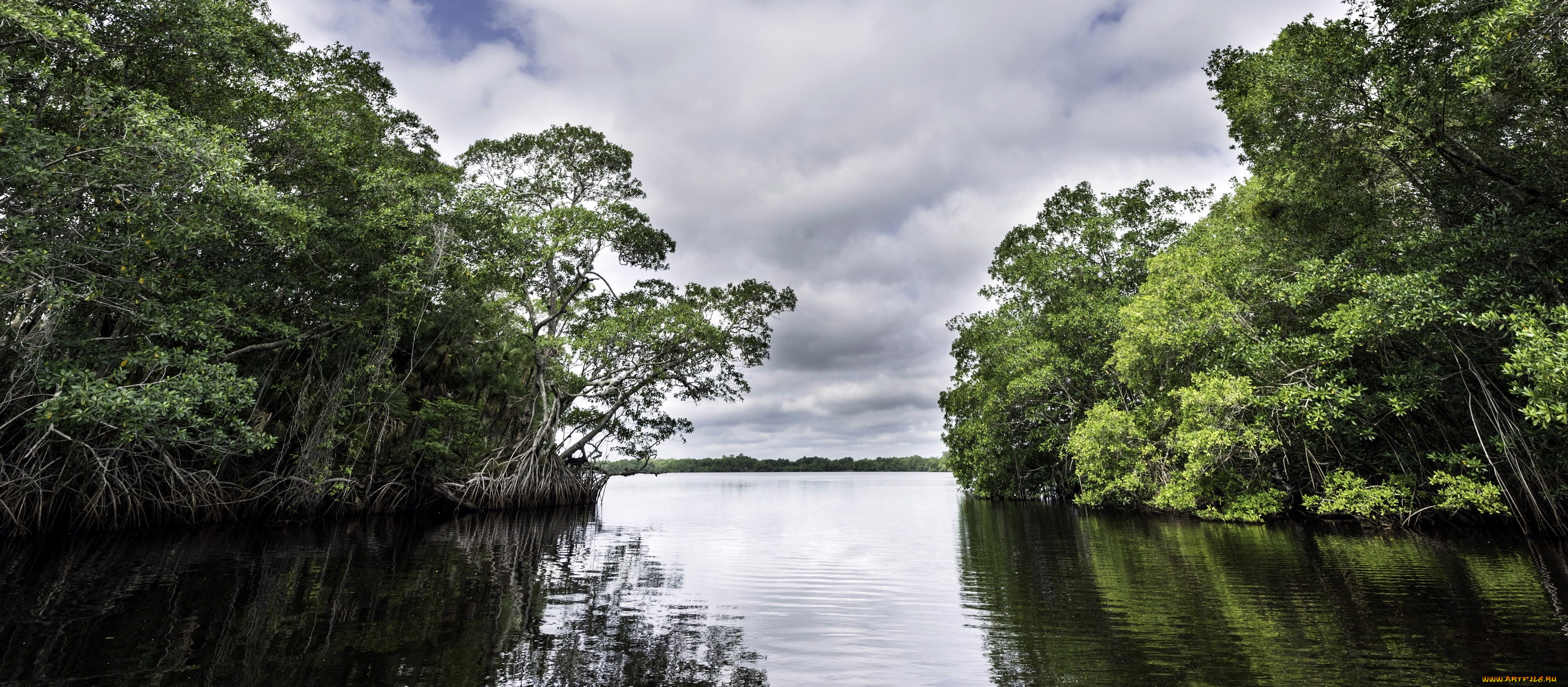 природа, реки, озера, река
