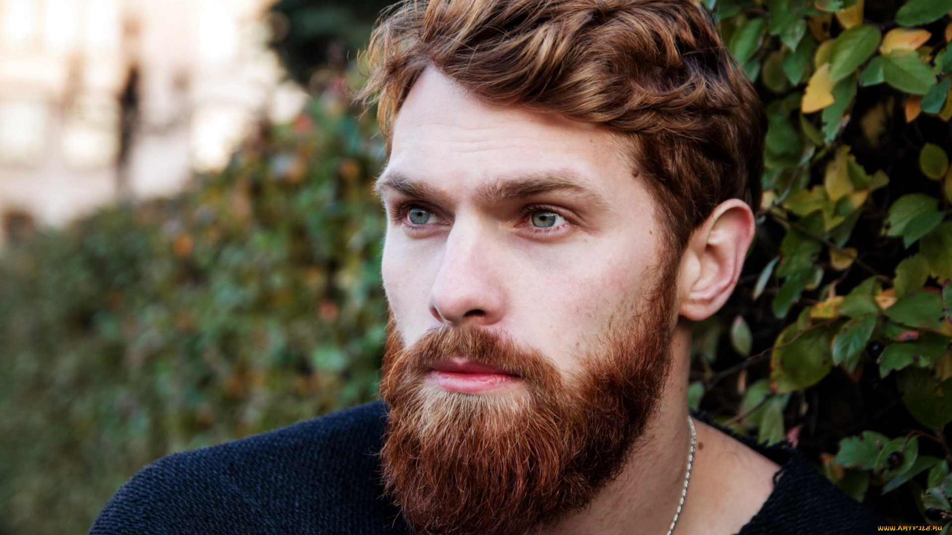 мужчины, -, unsort, борода