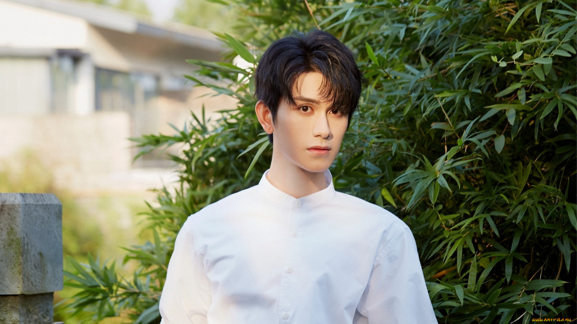 мужчины, zhu, zanjin, zhu, zanjin, чжу, цзаньцзинь