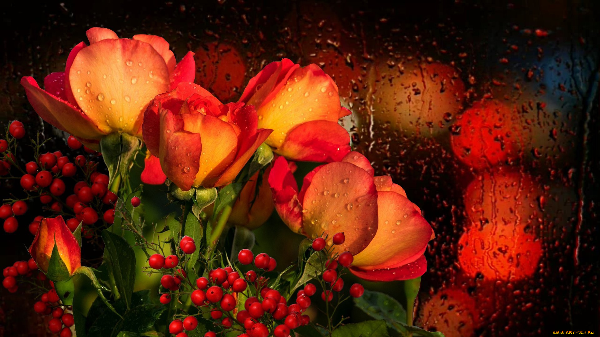 цветы, розы, букет