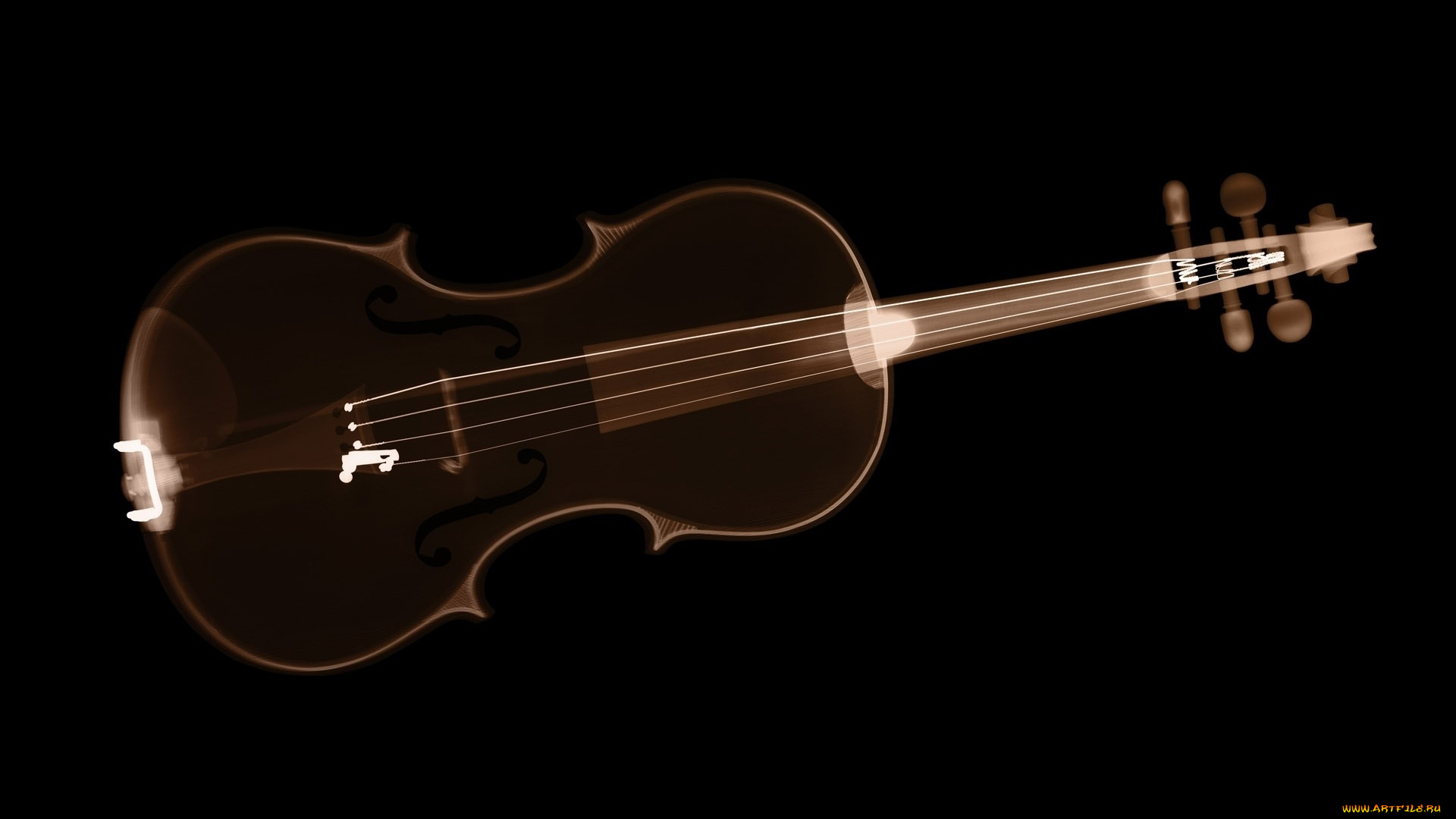 разное, кости, , рентген, скрипка, инструмент