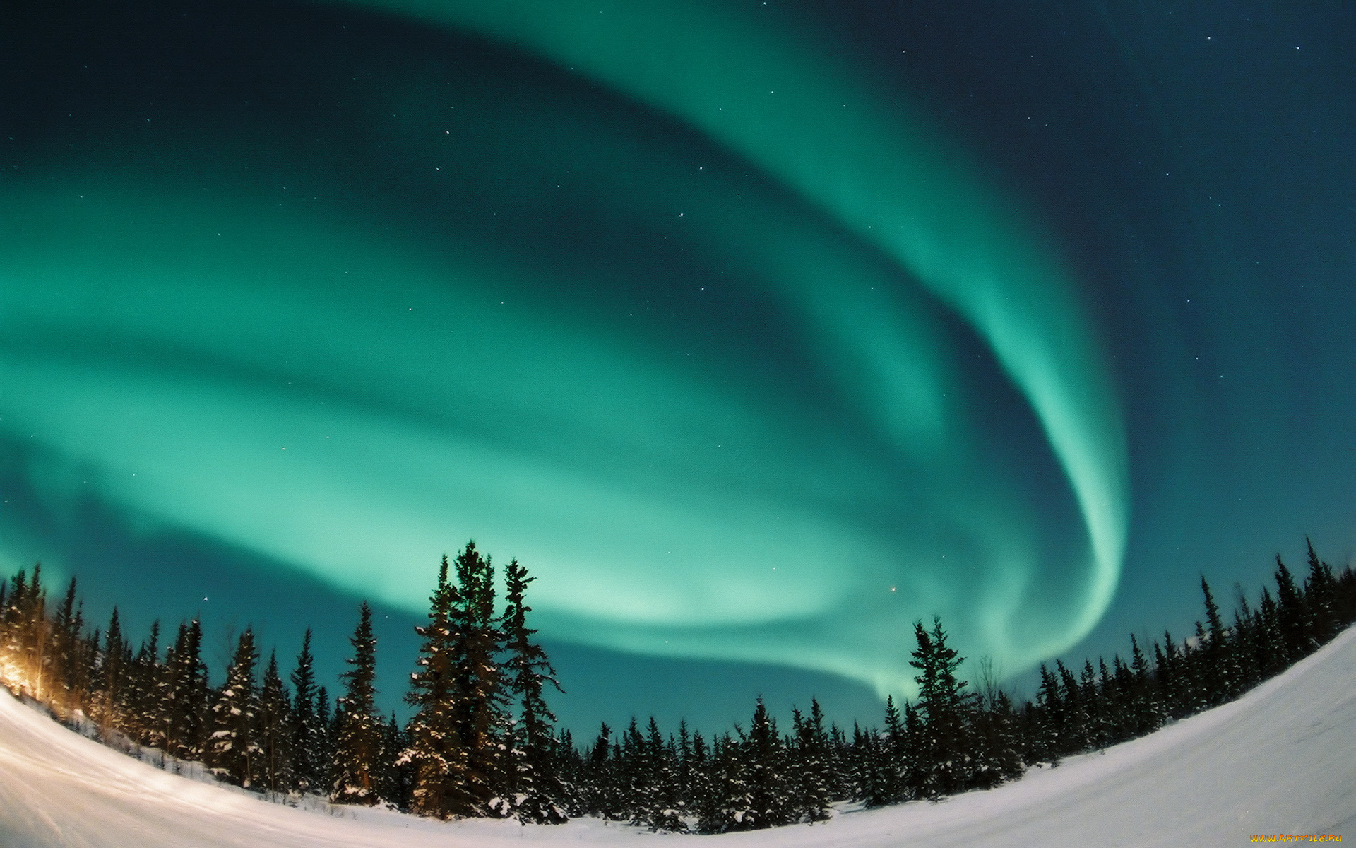 природа, северное, сияние, небо, северное, сияние, лес, снег, зима