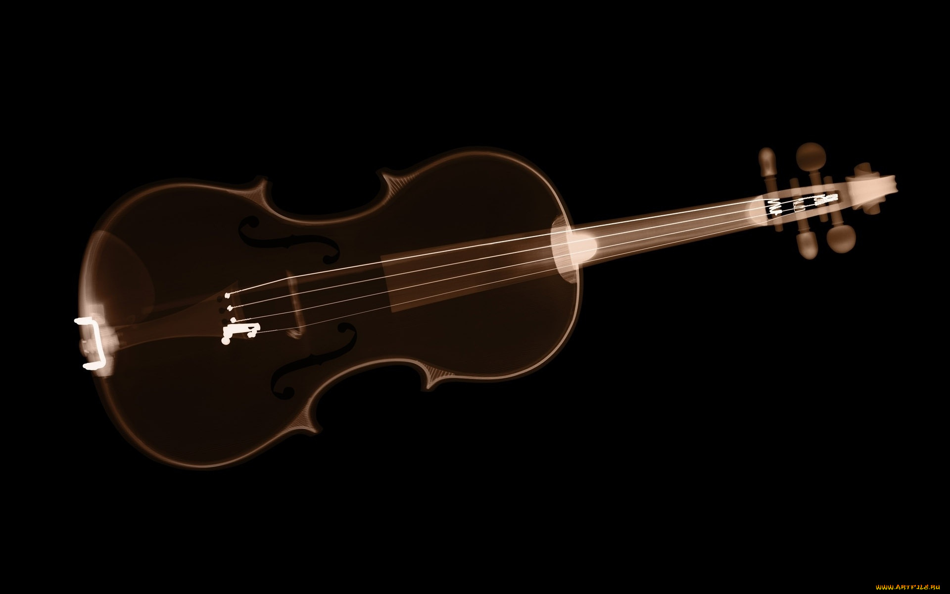 разное, кости, , рентген, скрипка, инструмент