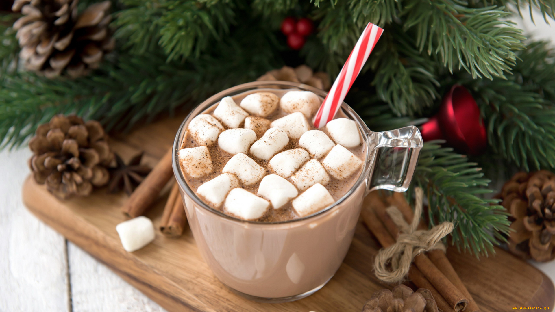праздничные, угощения, шишки, корица, анис, какао, маршмеллоу