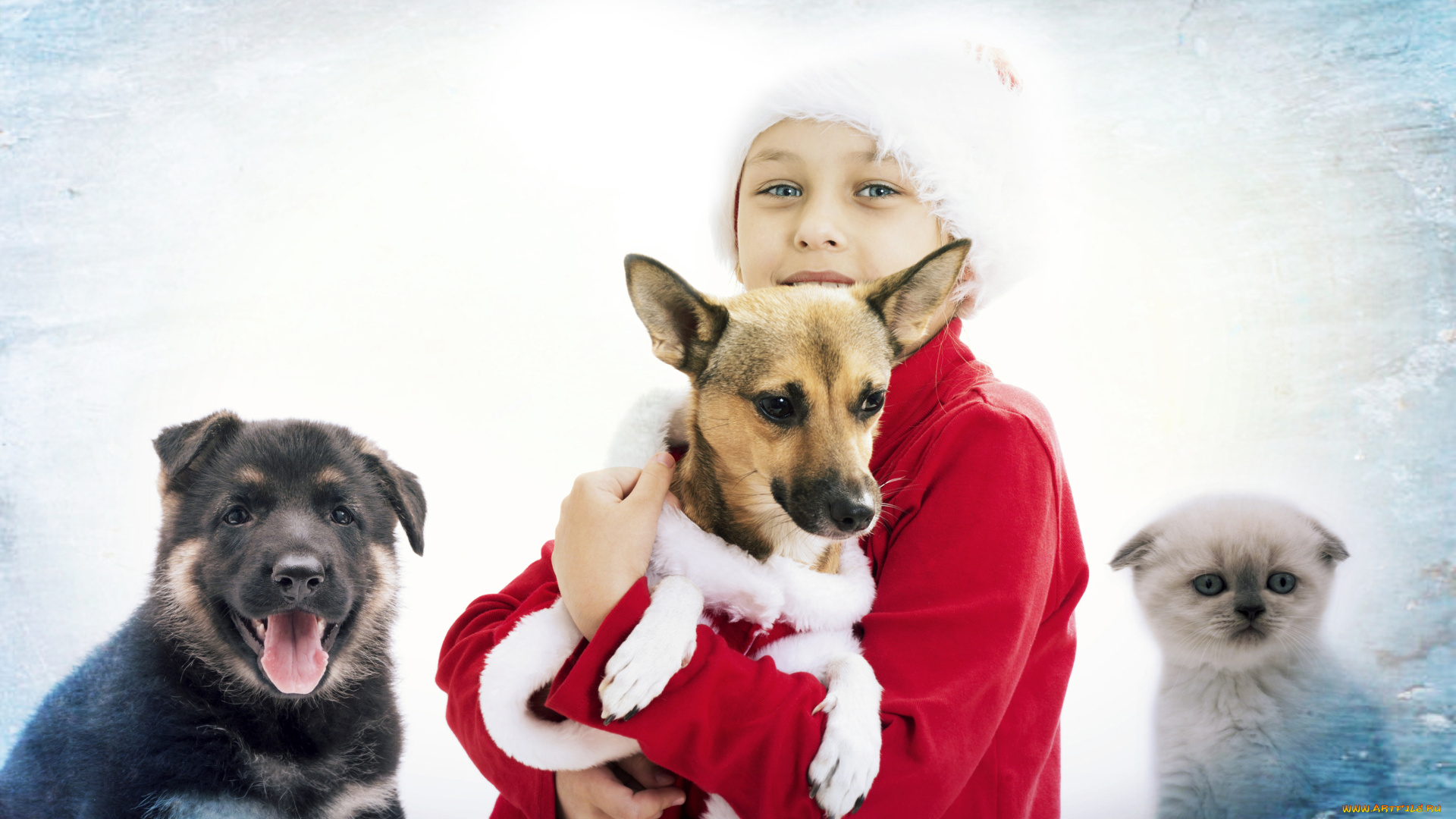 разное, дети, девочка, собаки, котенок