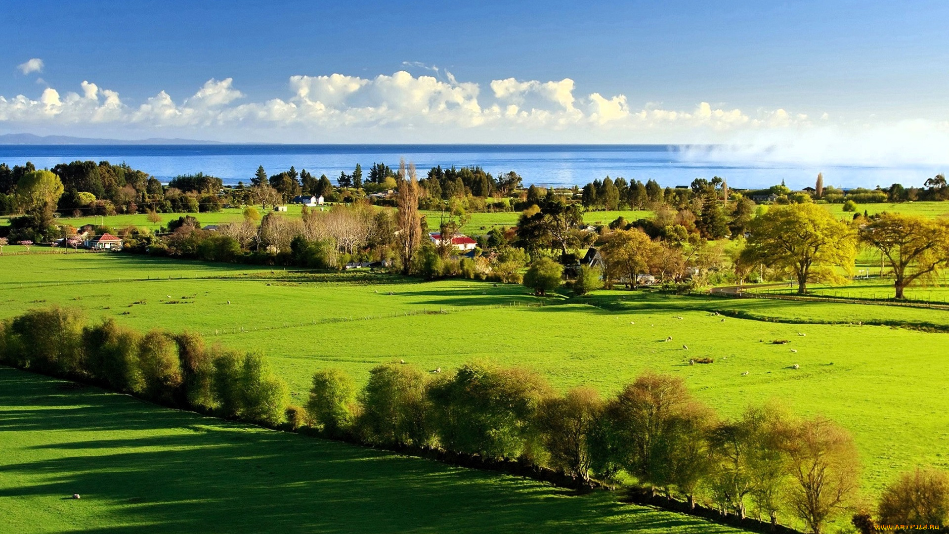 города, -, пейзажи, дома, луга, деревья, море