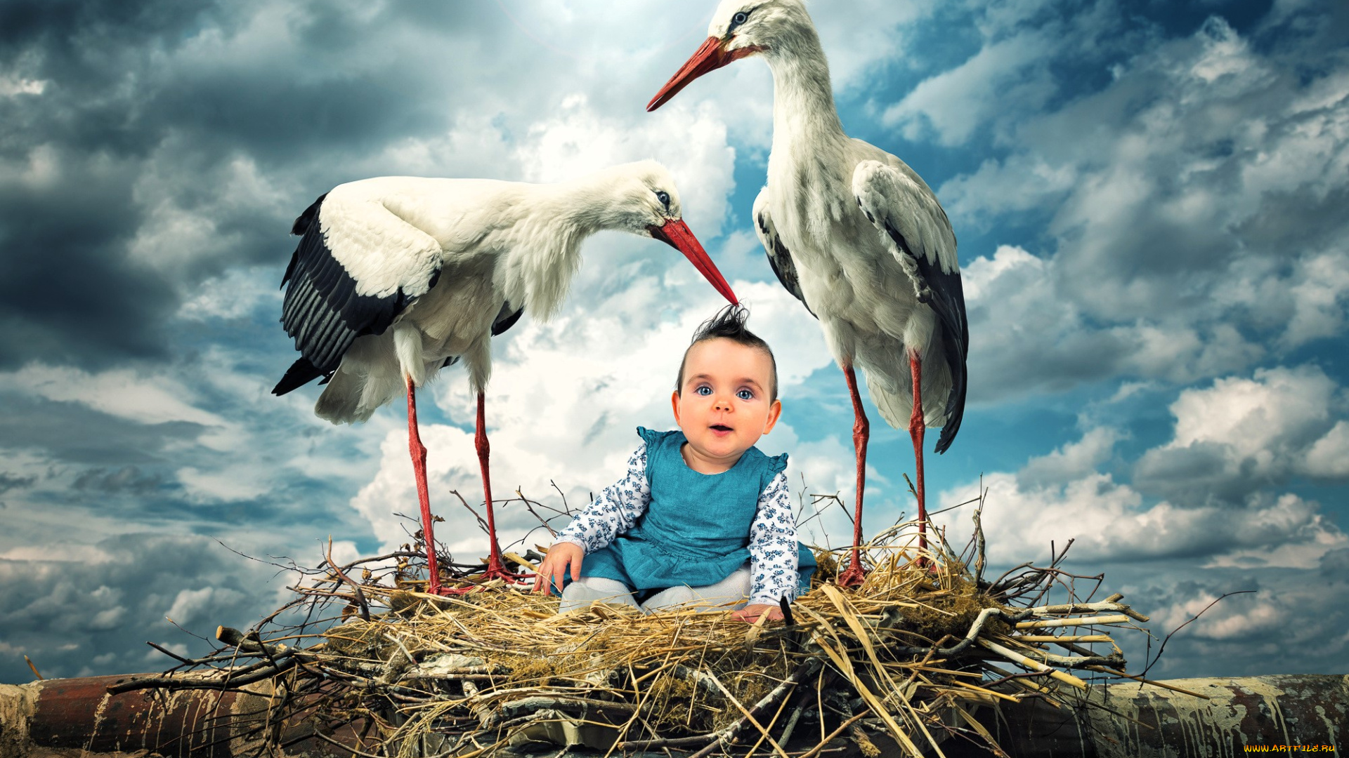 разное, дети, ребенок, гнездо, аисты, облака