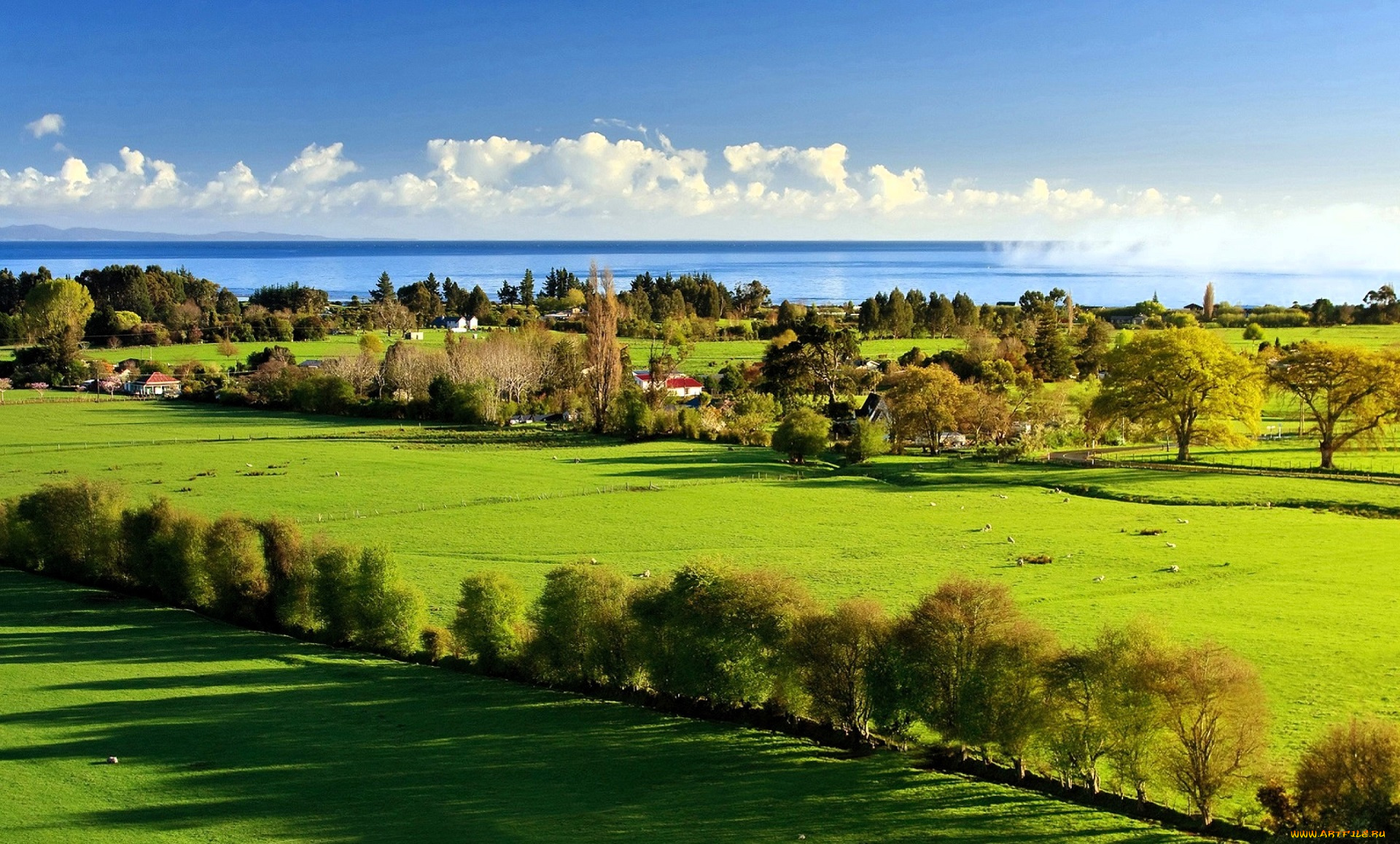 города, -, пейзажи, дома, луга, деревья, море