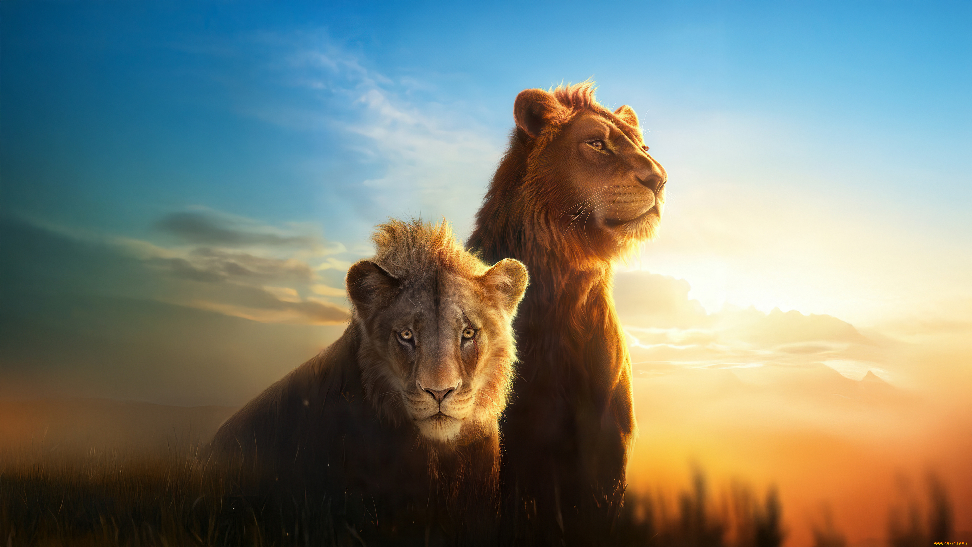 mufasa, , the, lion, king, , , 2024, , мультфильмы, , the, lion, king, the, lion, king, пoстeр, мультфильм, мюзикл, приключения, семейный