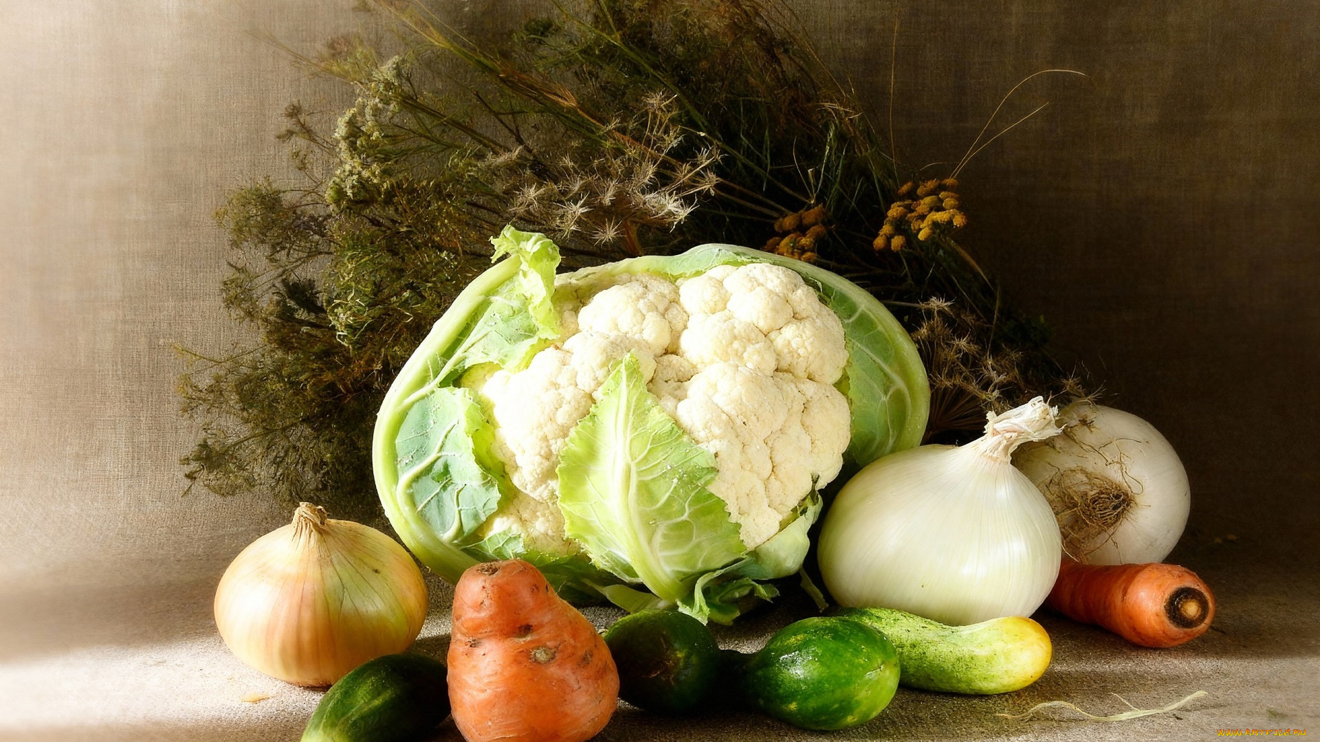 еда, натюрморт