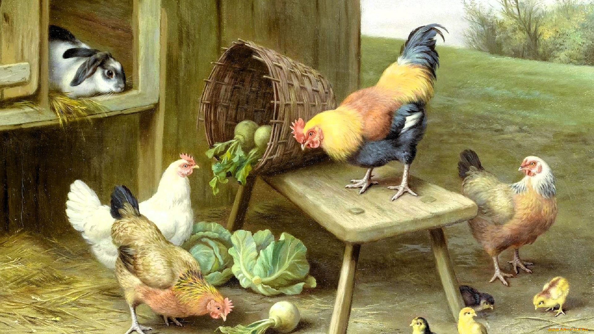 рисованное, edgar, hunt, сарай, корзина, кролик, куры, капуста, цыплята, репа, скамейка