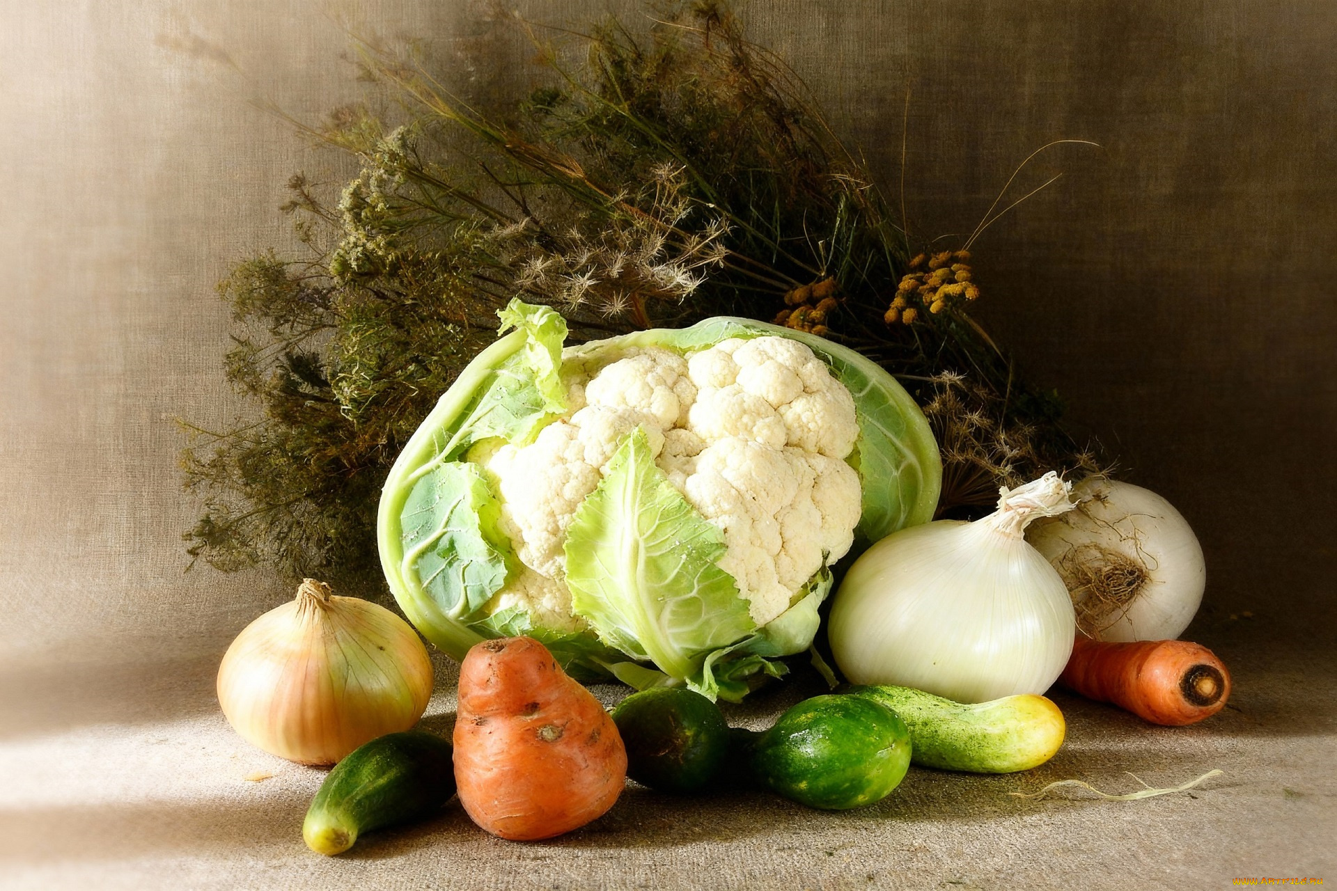 еда, натюрморт