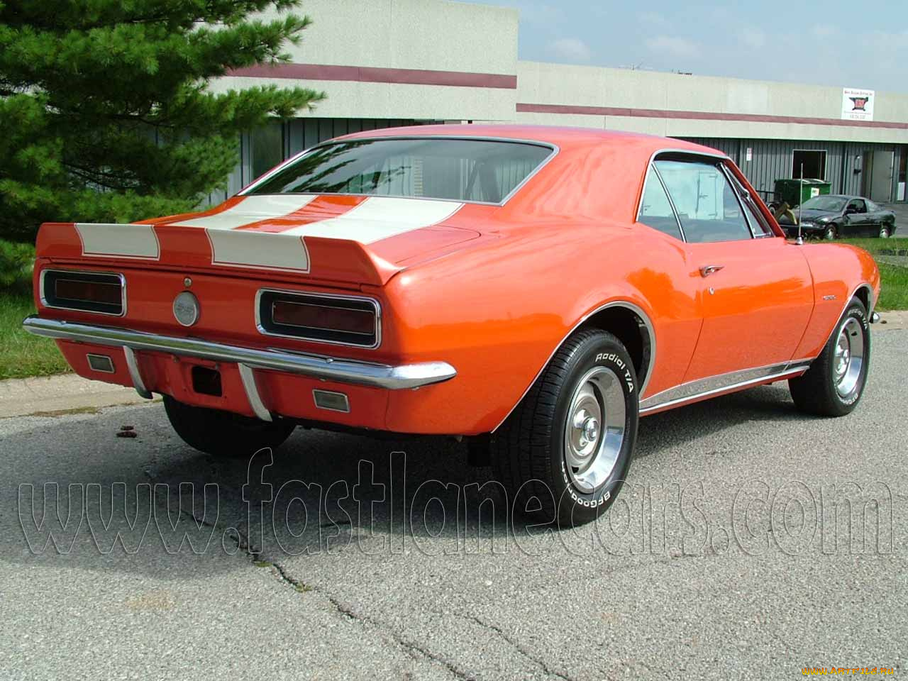 chevrolet, camaro, автомобили, выставки, уличные, фото