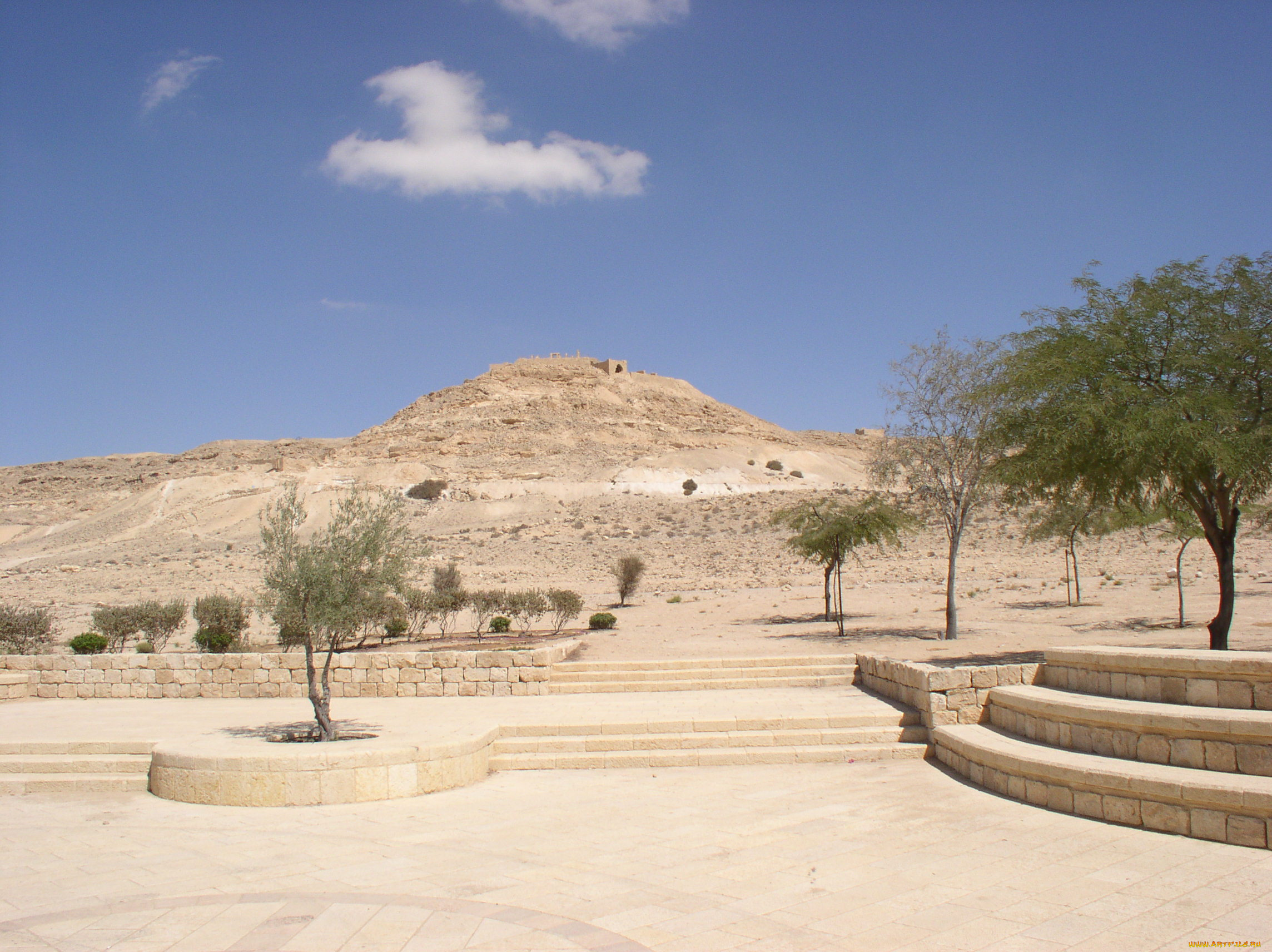 beer, sheva, города, другое