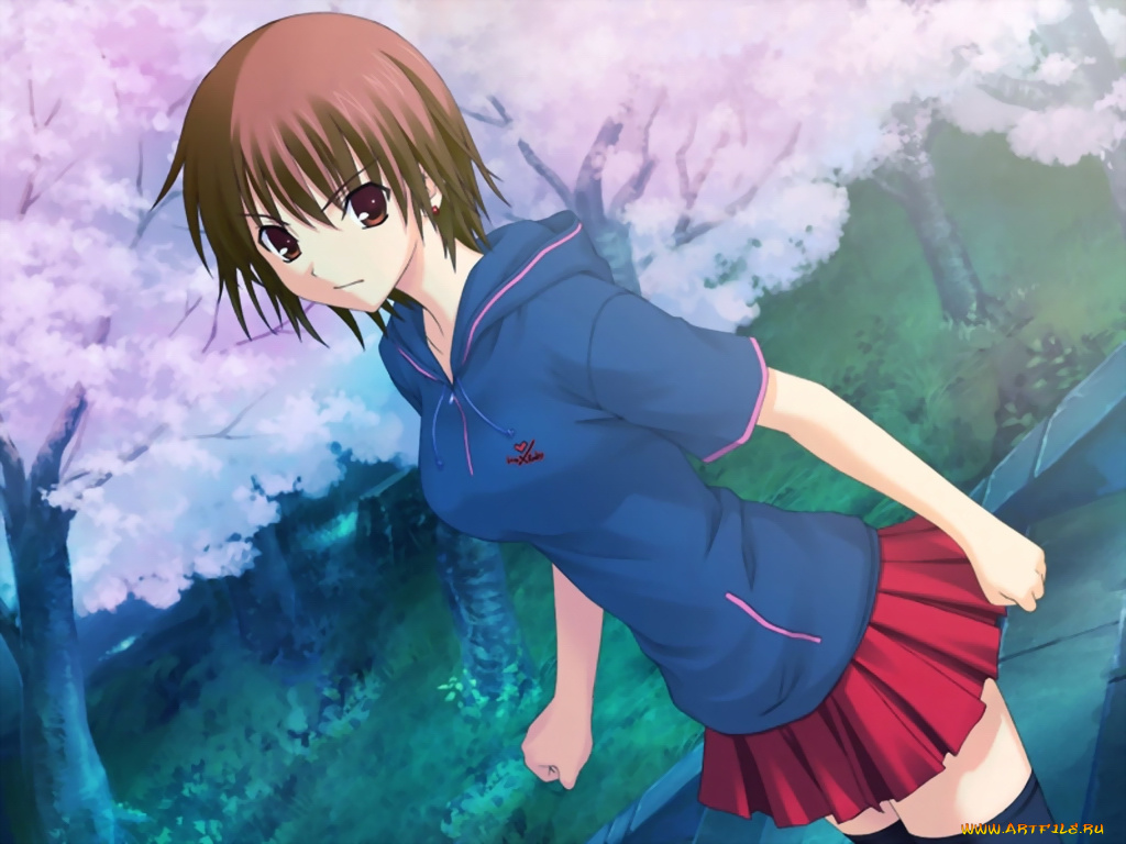 аниме, promising, to, the, blue, sky