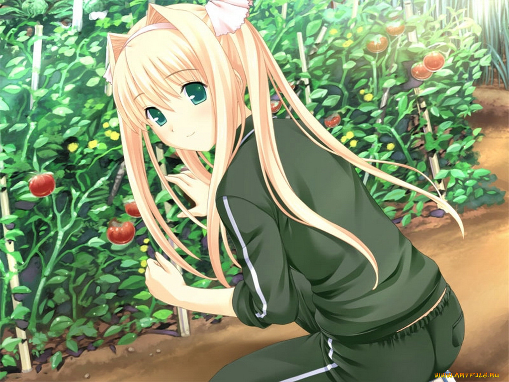 аниме, promising, to, the, blue, sky