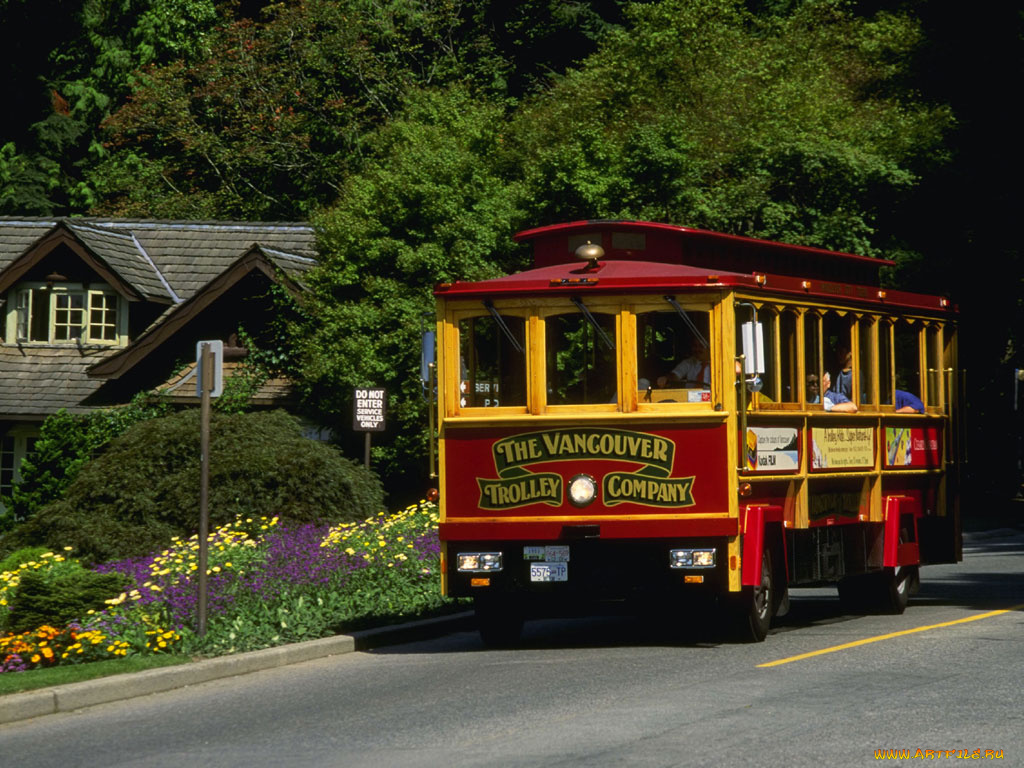 автомобили, автобусы