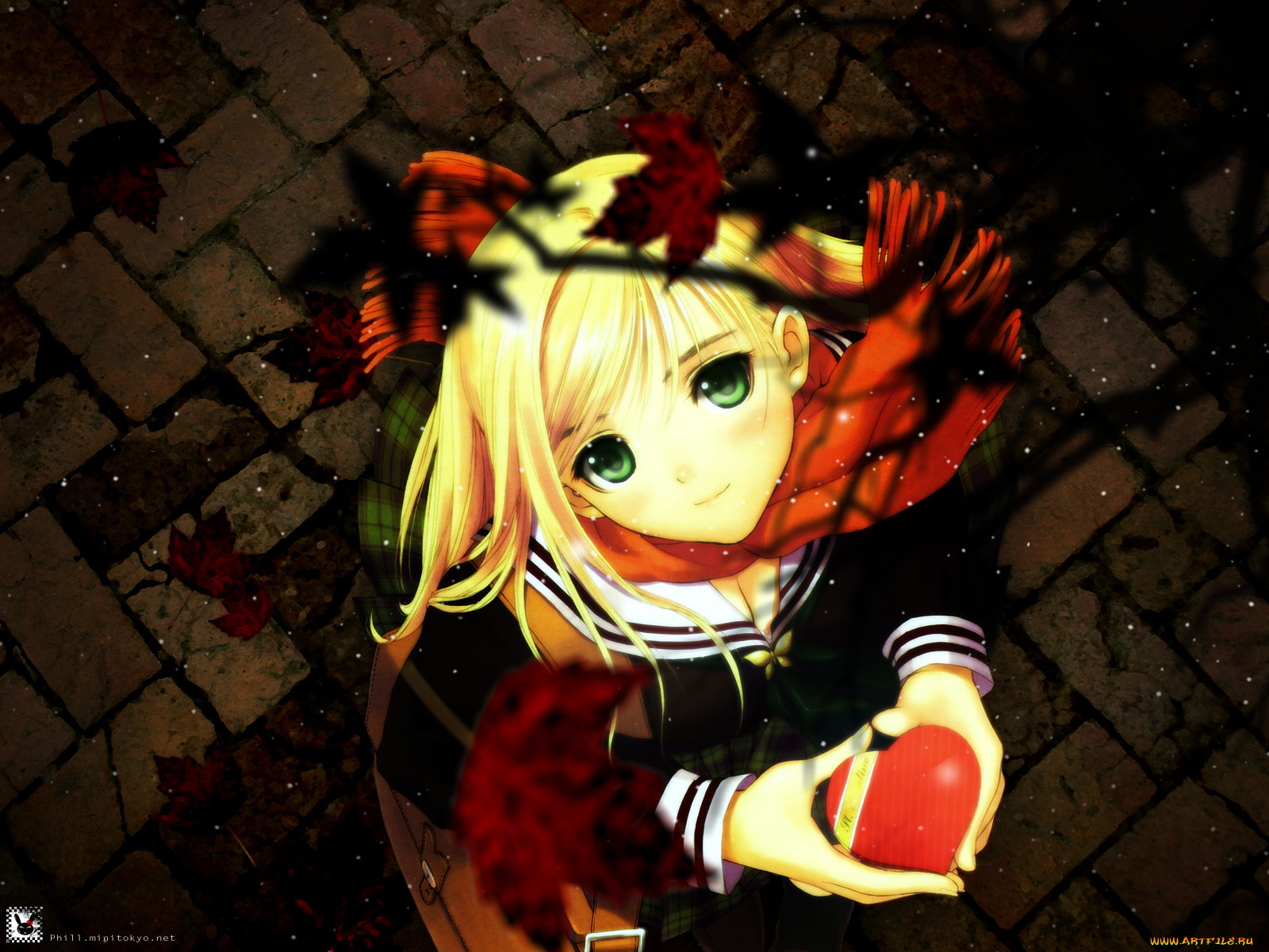 аниме, tony, taka, mangaka