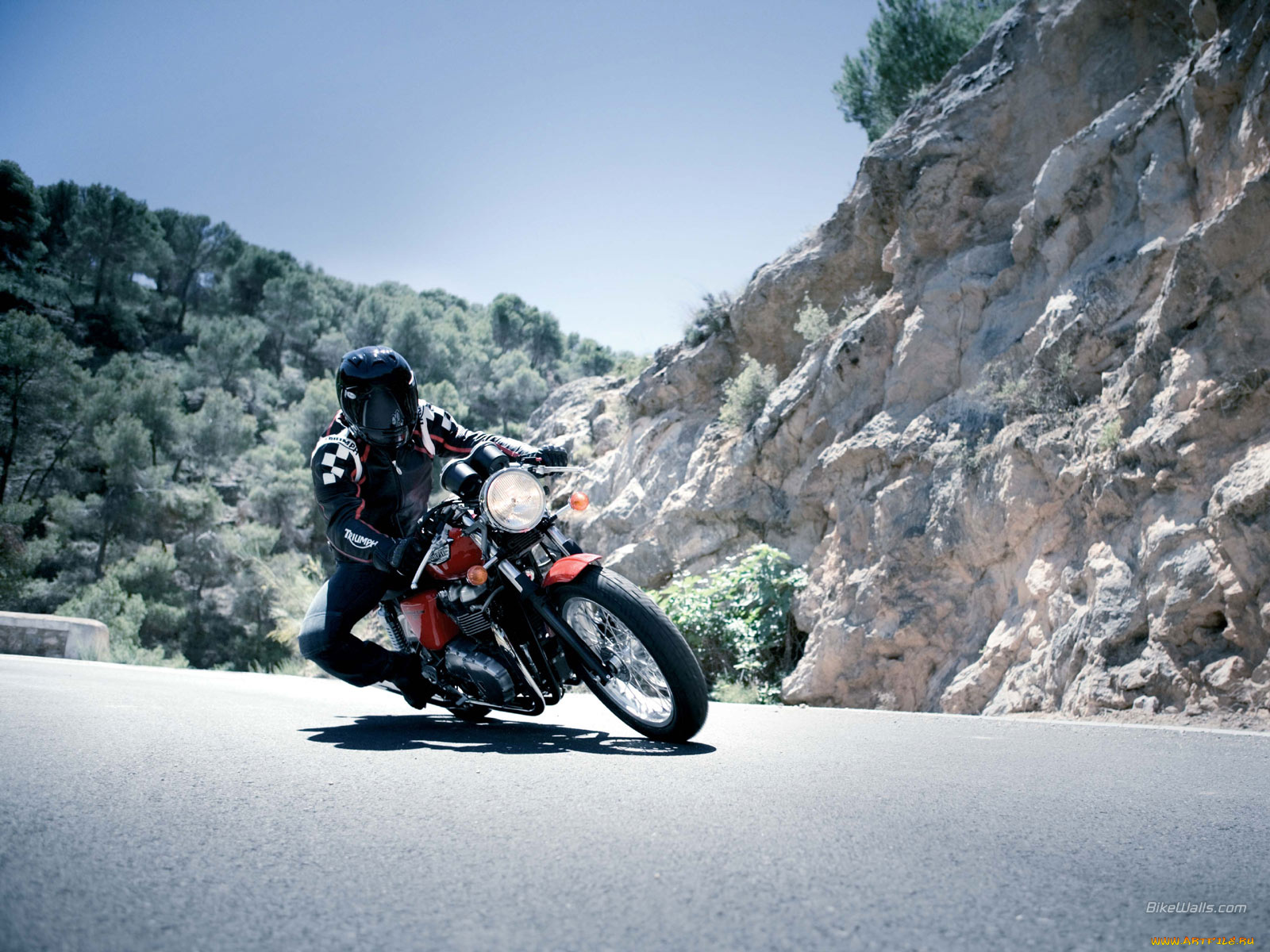 triumph, thruxton, 2007, мотоциклы