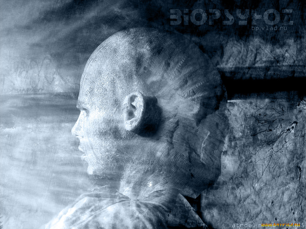 биопсихоз3, музыка, биопсихоз