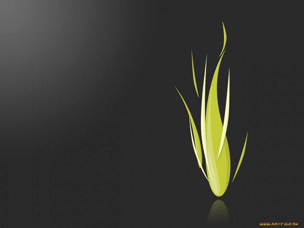 компьютеры, adobe