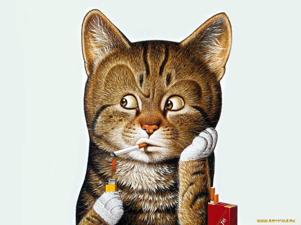 рисованные, животные, коты