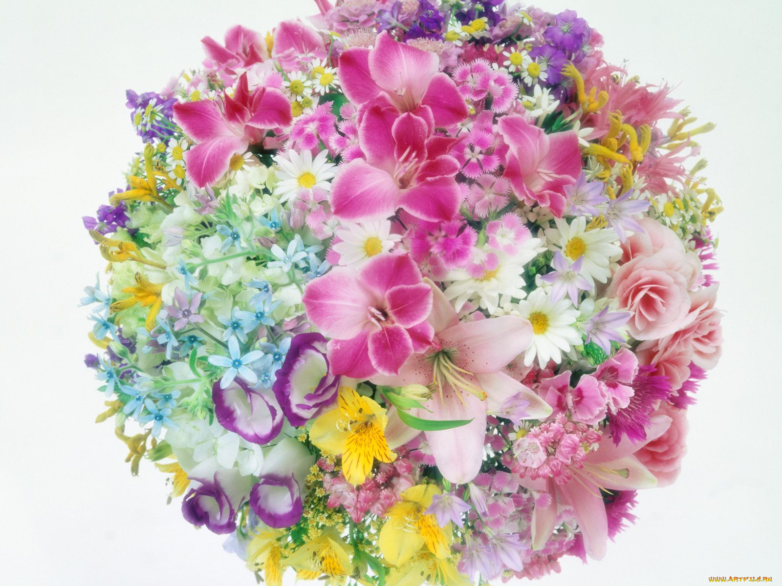 цветы, разные, вместе