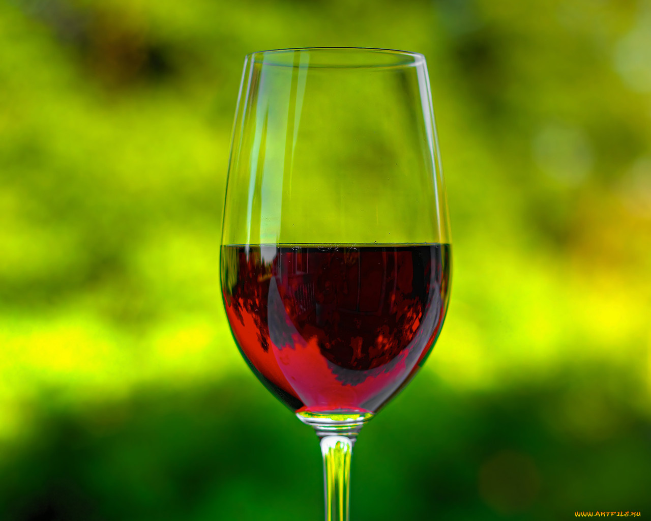 еда, напитки, вино