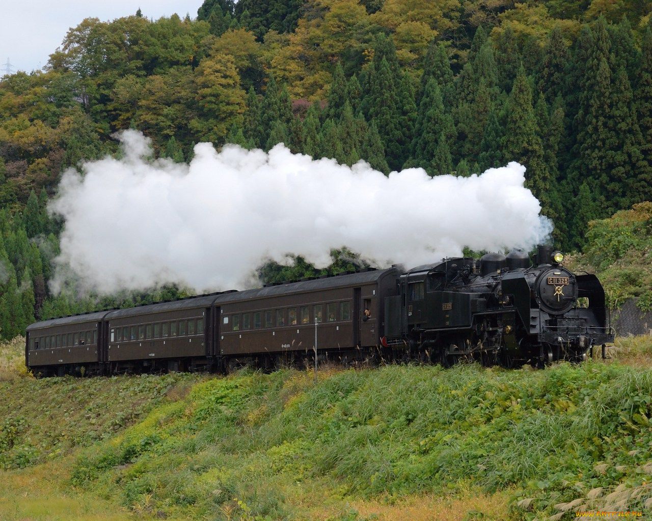 техника, паровозы