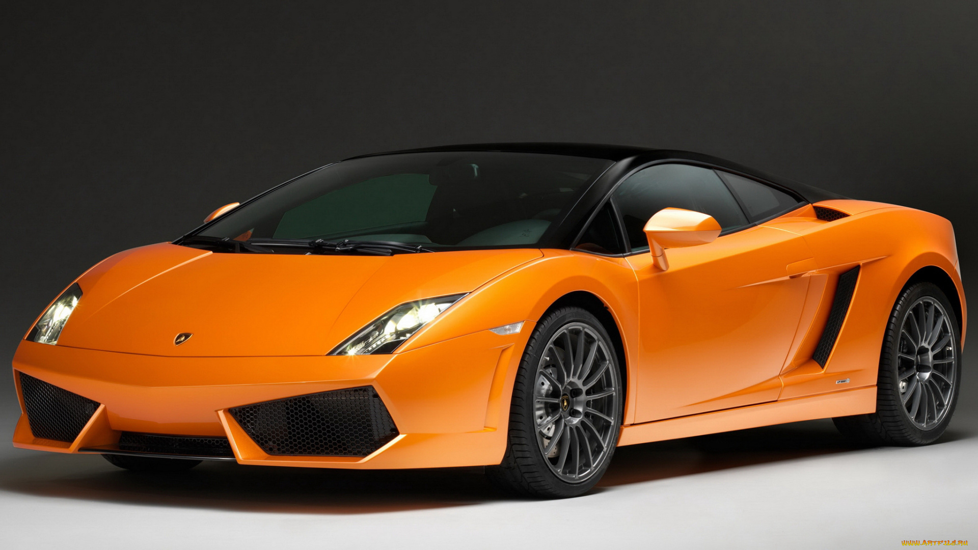 автомобили, lamborghini, gallardo, bicolore