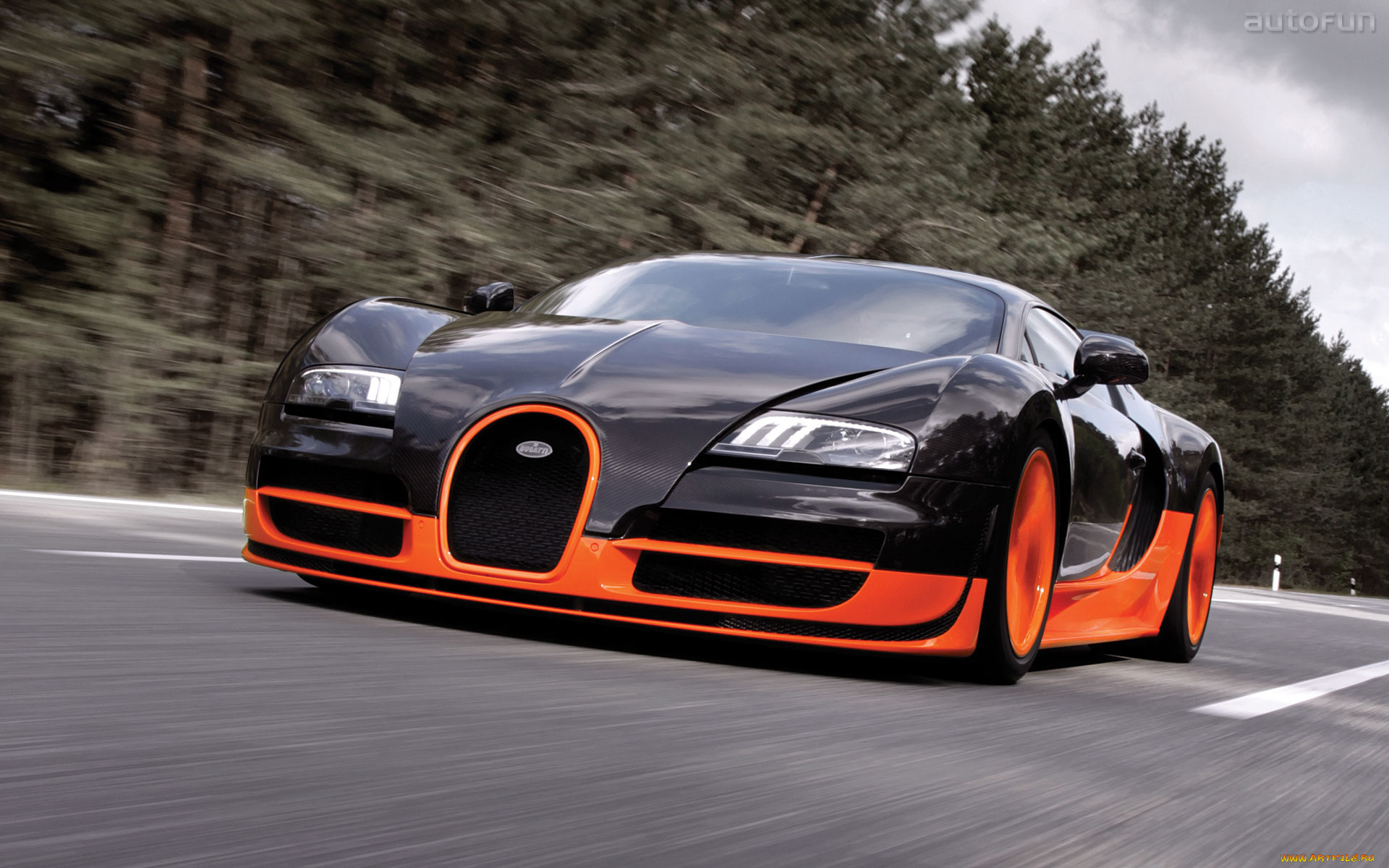 bugatti, veyron, 16, super, sport, автомобили