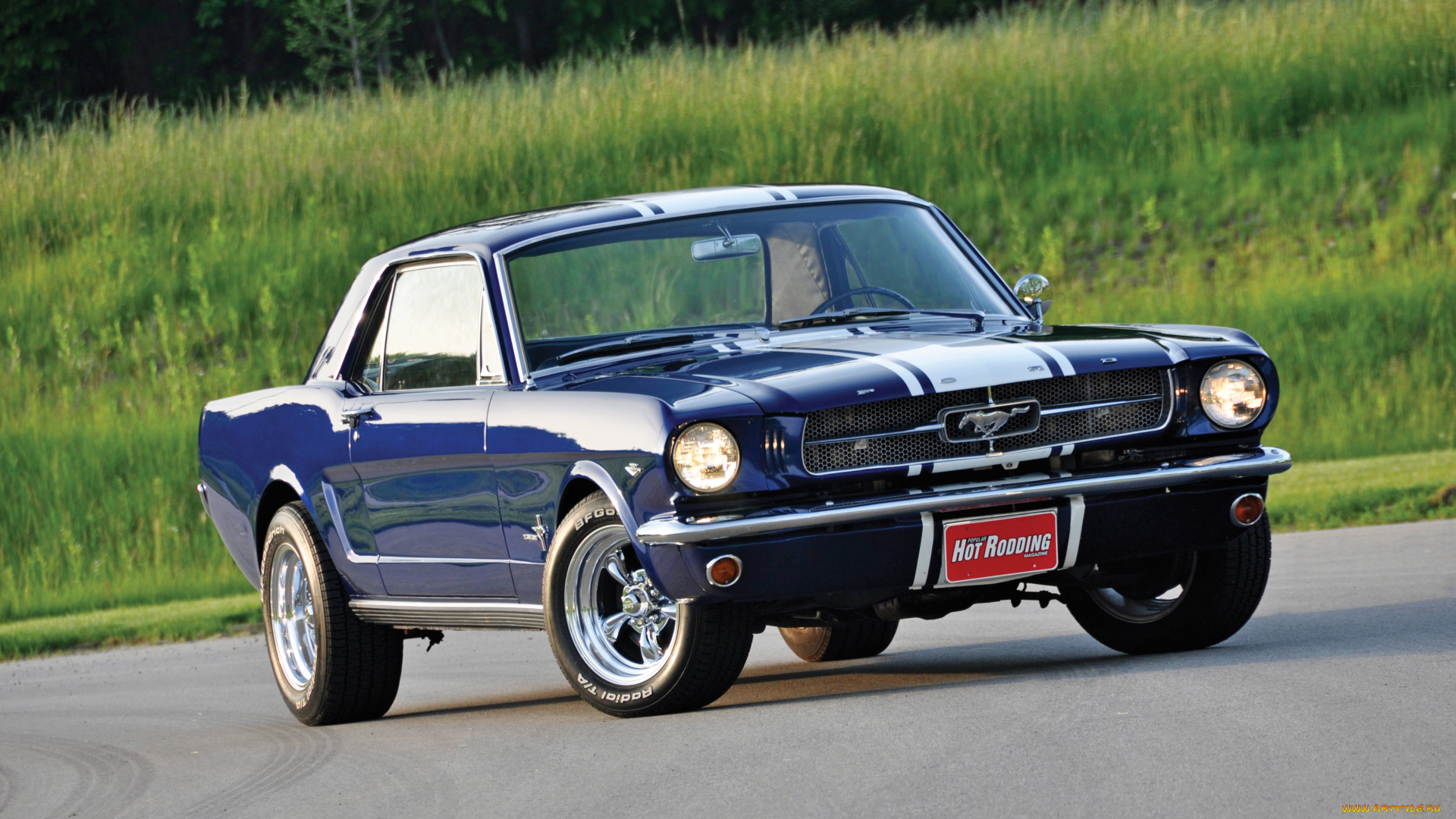 автомобили, mustang