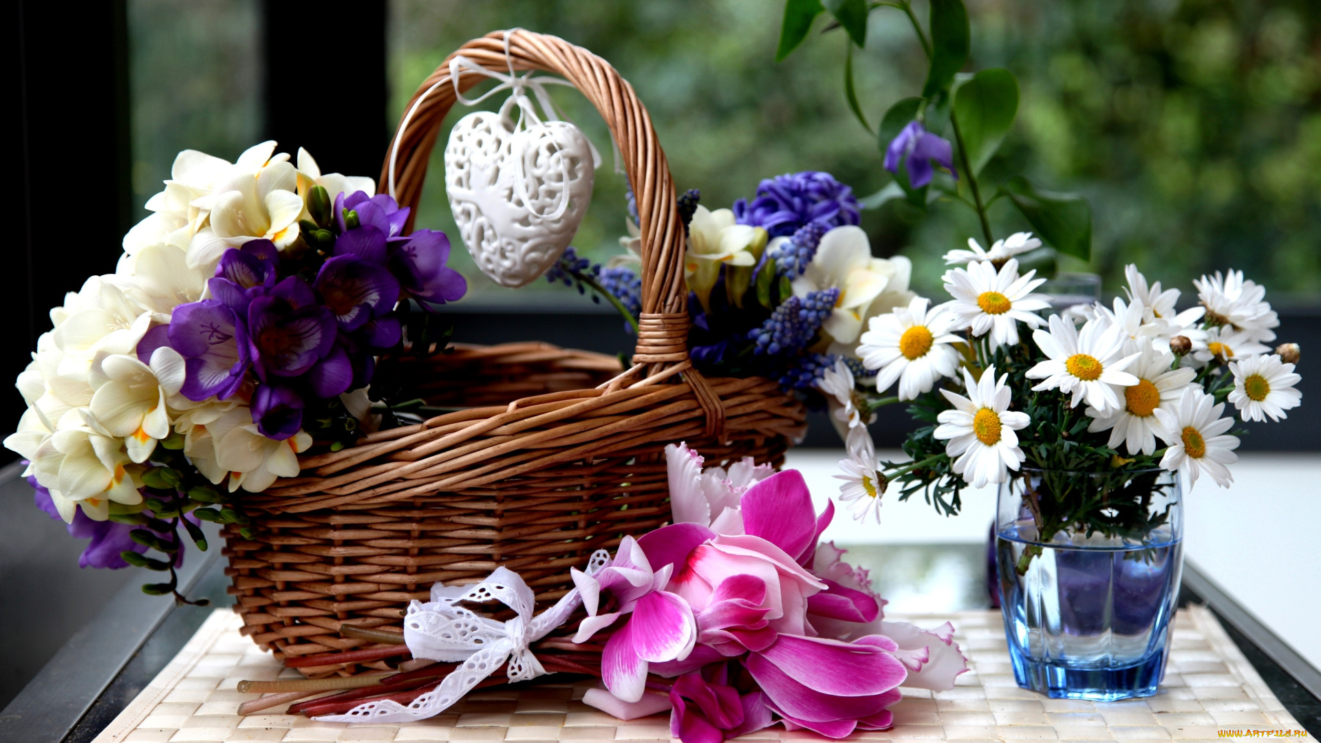 цветы, разные, вместе, цикламены, ромашки, гиацинты, фрезии, корзинка, сердечко