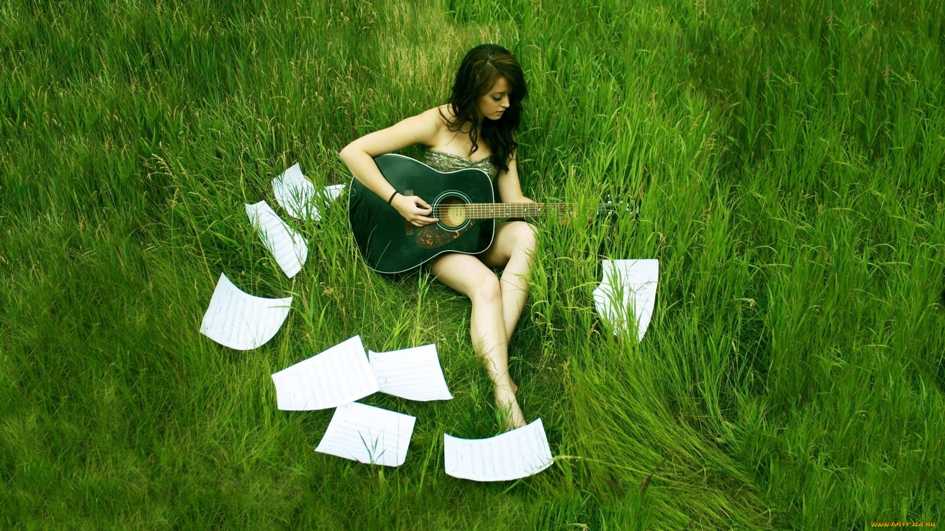 музыка, другое, гитара, трава, луг, зелёная, поле, брюнетка