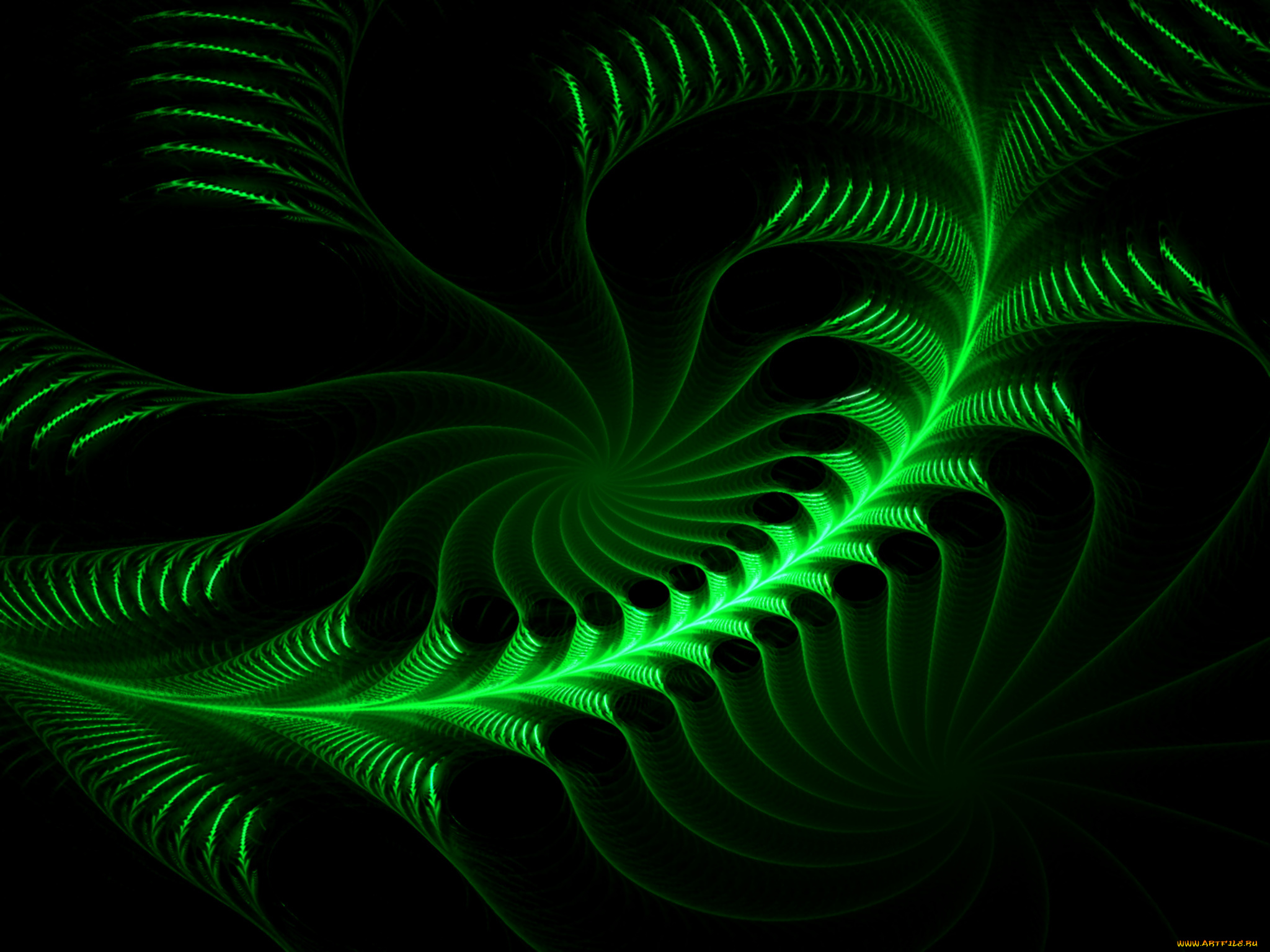 3д, графика, fractal, фракталы, фон, узор