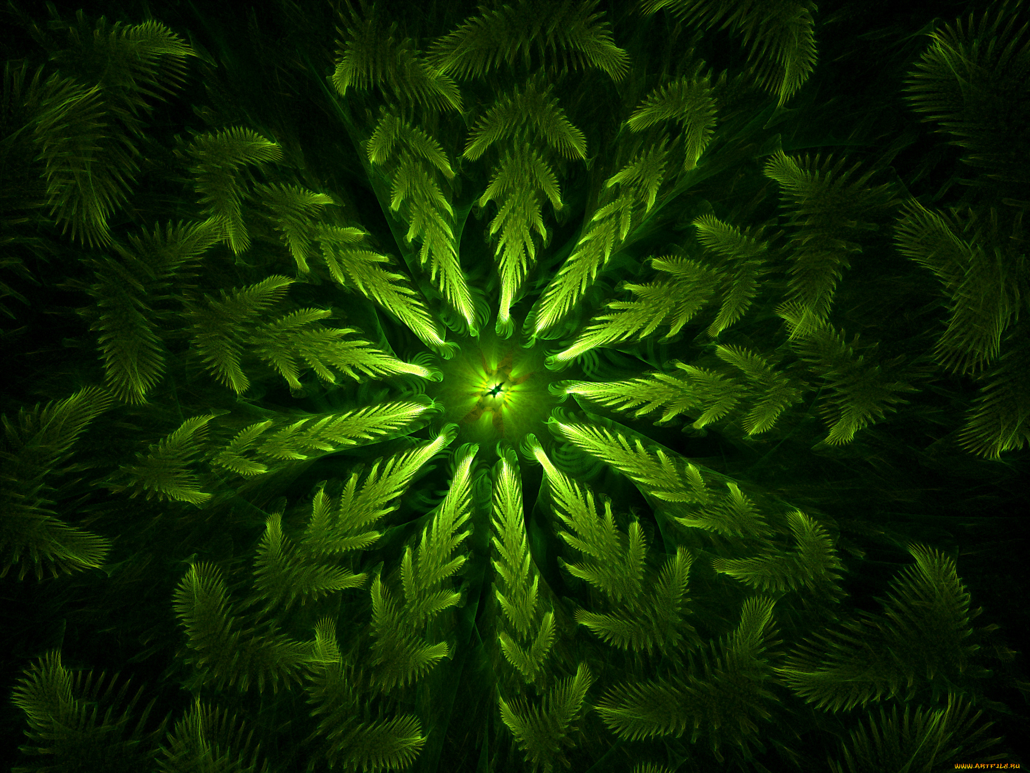 3д, графика, fractal, фракталы, узор, фон