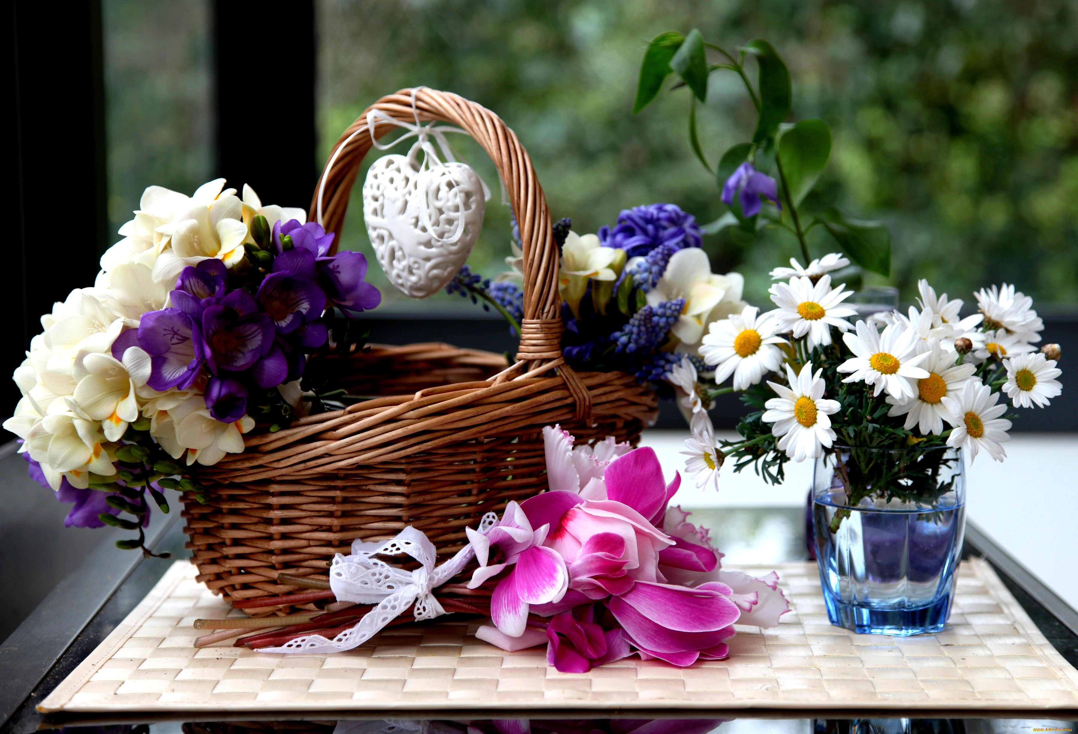 цветы, разные, вместе, цикламены, ромашки, гиацинты, фрезии, корзинка, сердечко