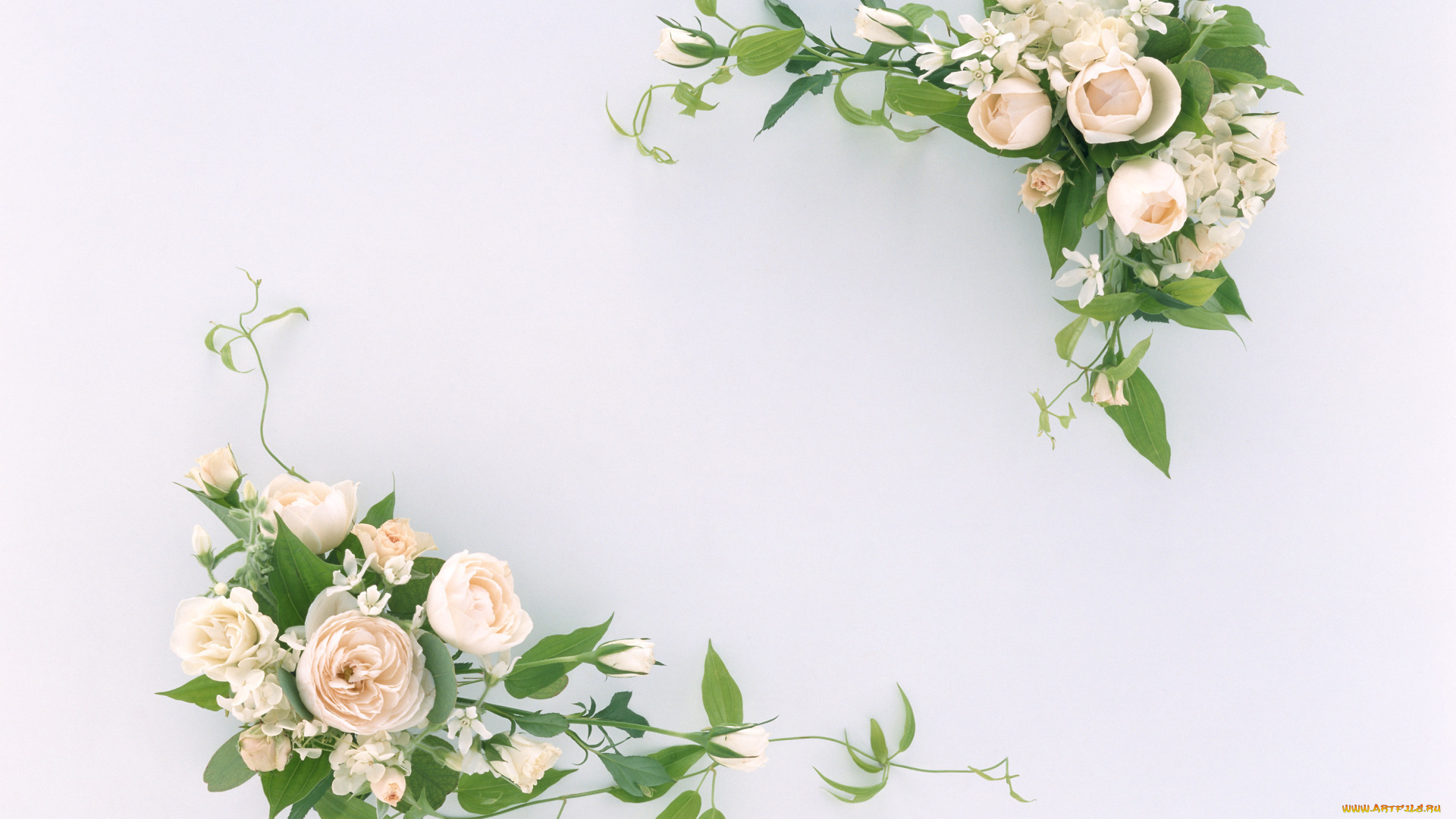 цветы, букеты, композиции, цветки, листья