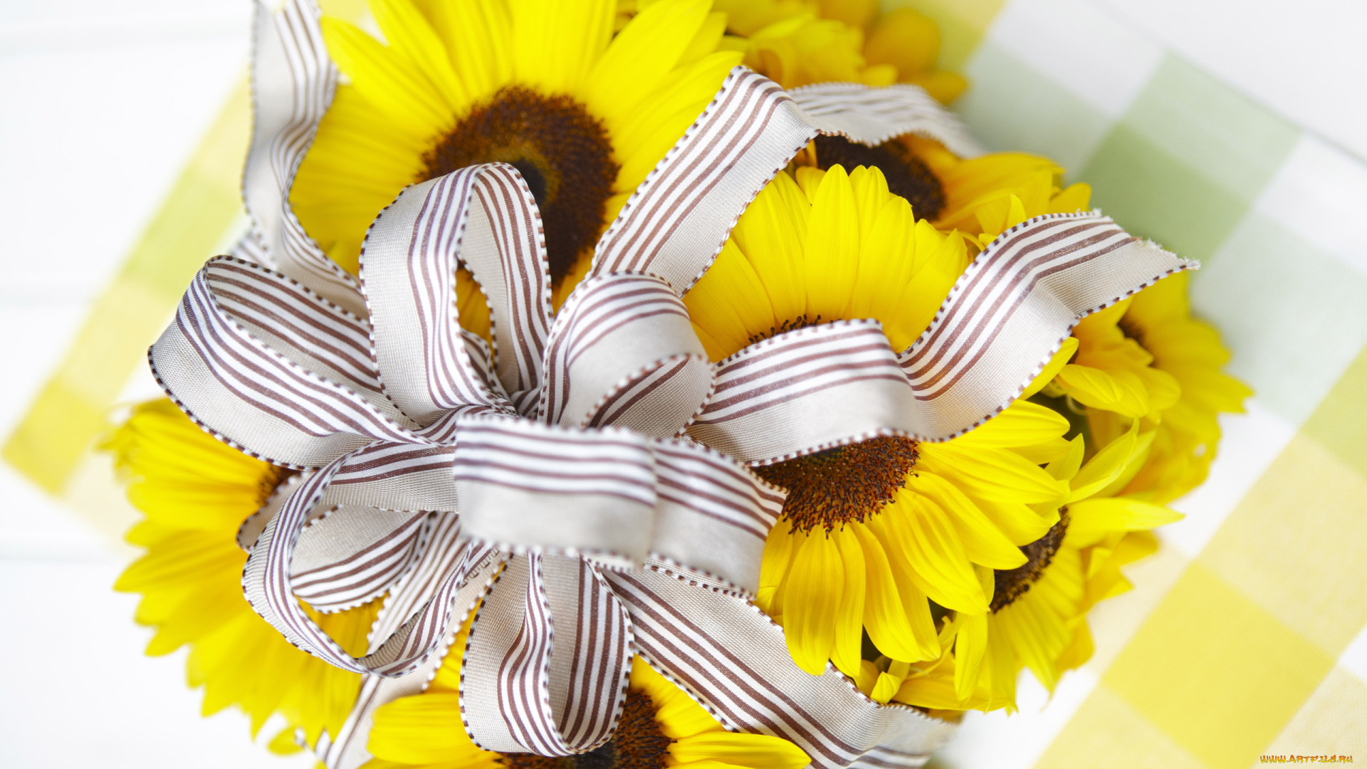 цветы, подсолнухи, бант, лента, желтый