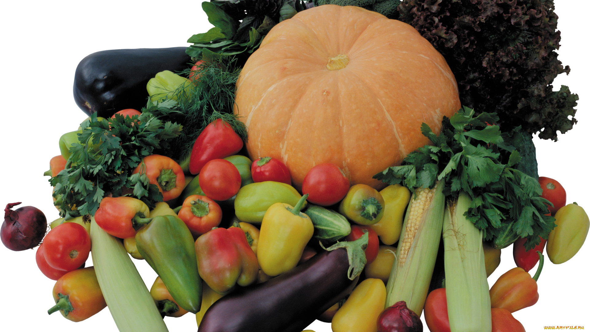 еда, овощи, тыква, кабачки, баклажаны