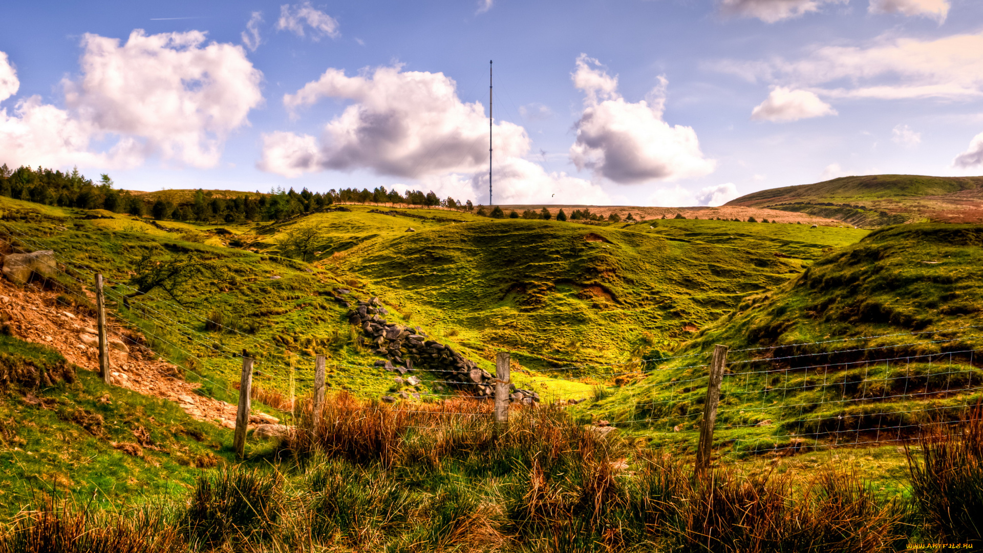 horwich, англия, природа, луга