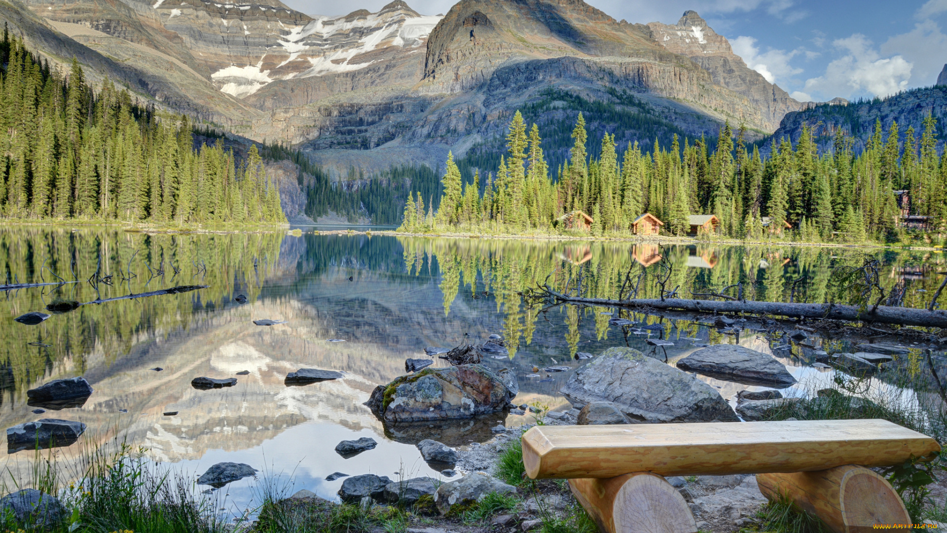 lake, o`hara, yoho, national, park, canada, природа, реки, озера, ohara, канада, озеро, скамейка, камни, домики, лес, ели, горы