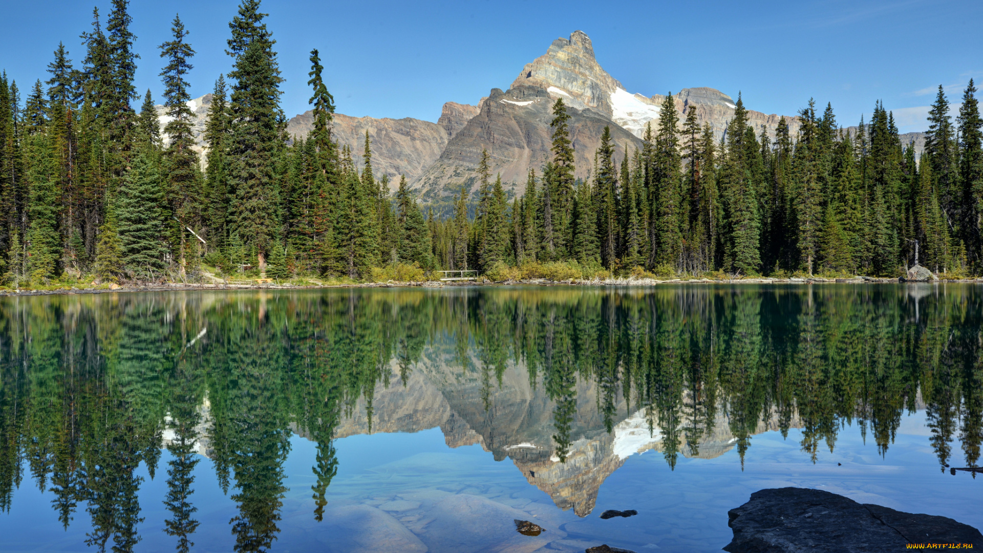 lake, o`hara, yoho, national, park, canada, природа, реки, озера, лес, отражение, озеро, канада, ohara, ели, горы