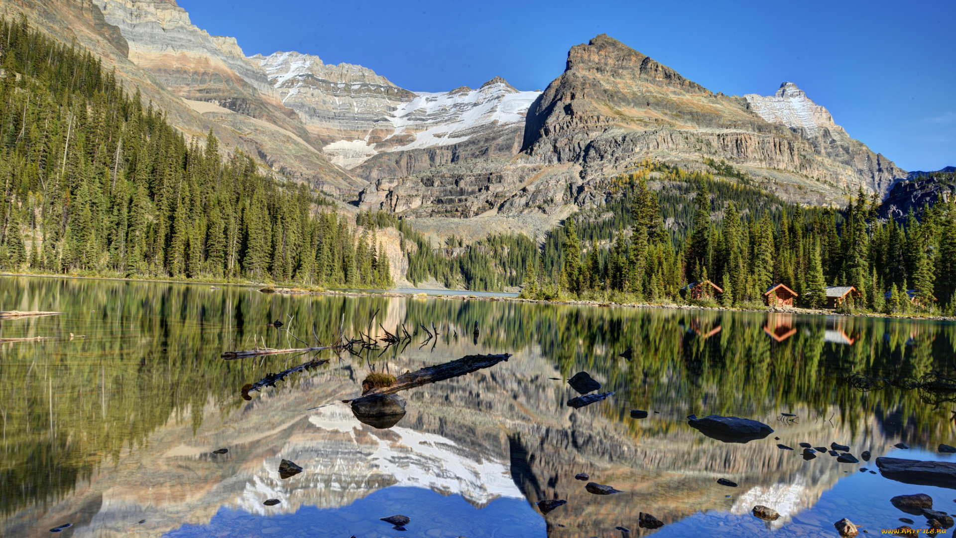 lake, o`hara, yoho, national, park, canada, природа, реки, озера, канада, лес, горы, отражение, озеро, ohara