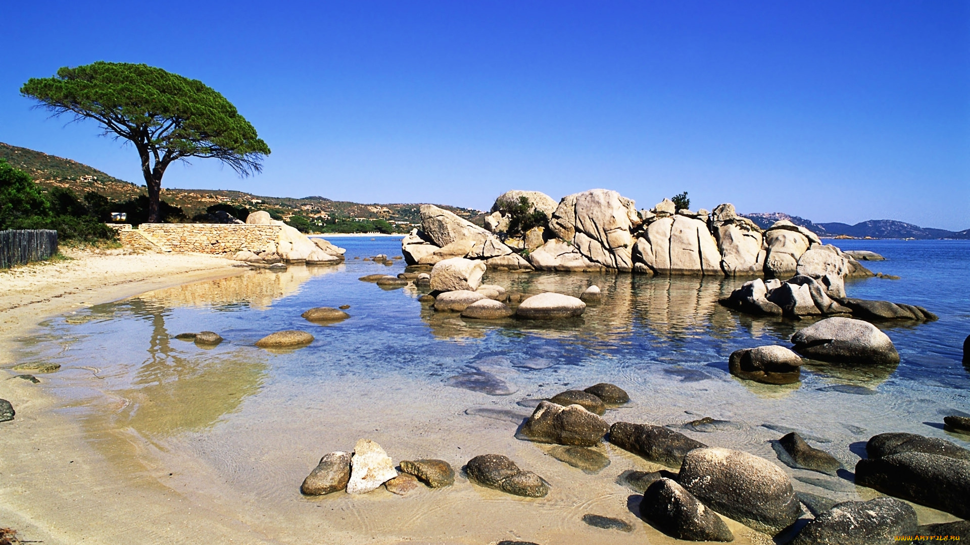 palombaggia, природа, побережье, дерево, камни, пляж, океан